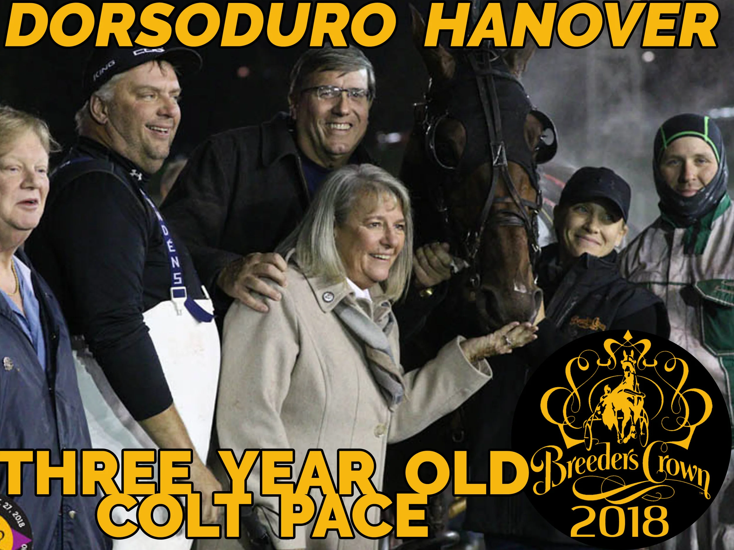 Dorsoduro Hanover - 3CP