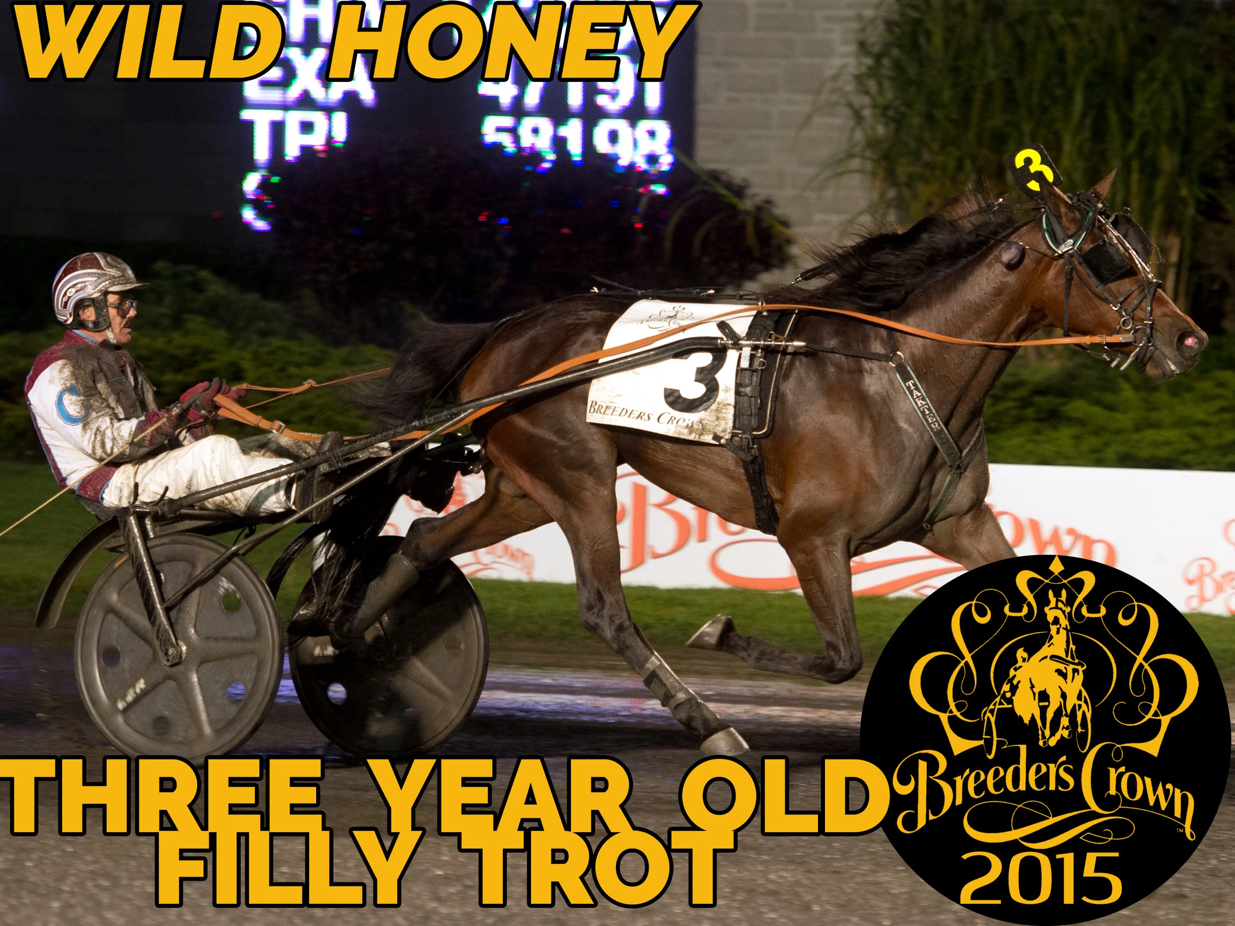 Wild Honey - 3FT