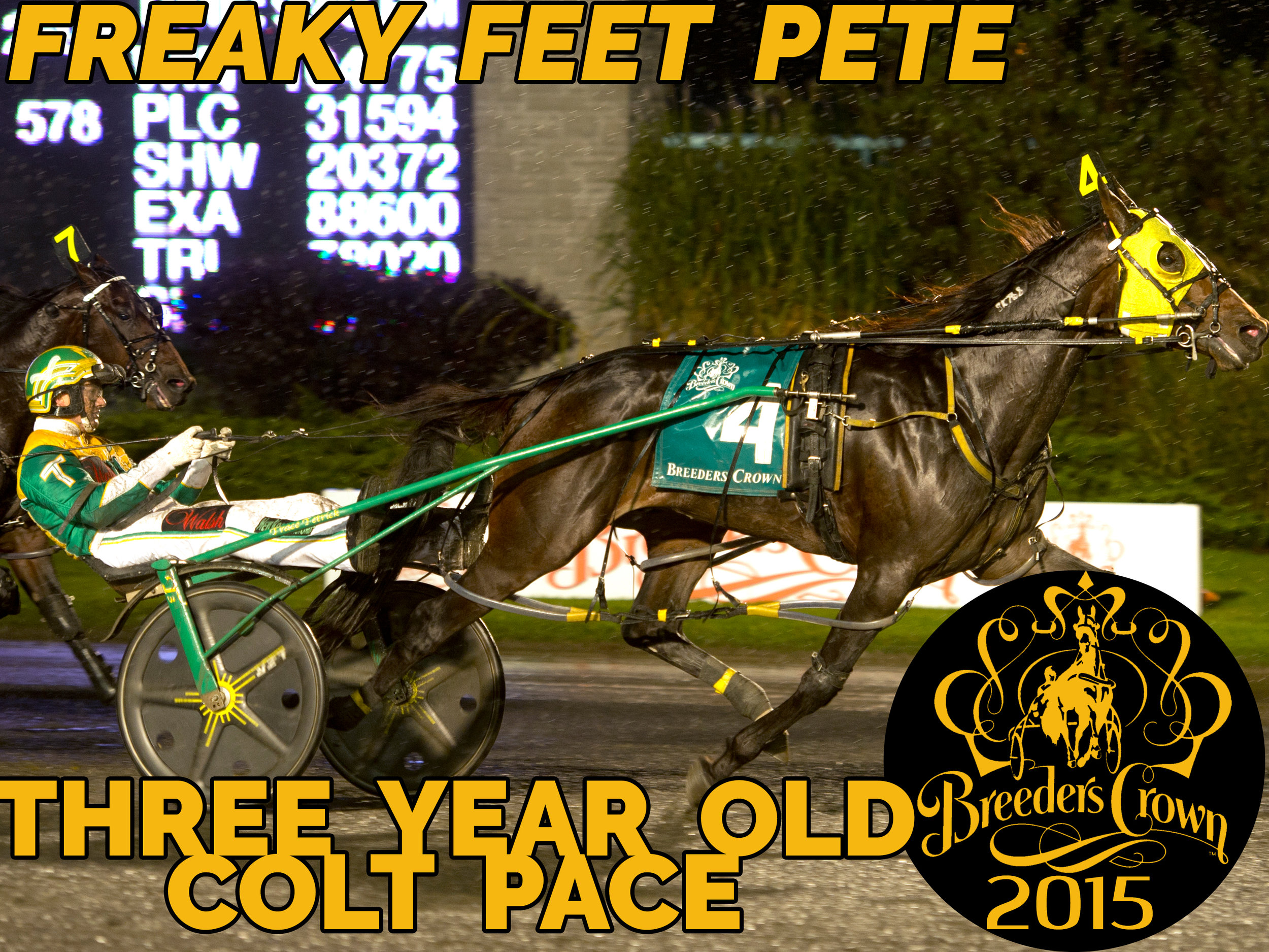 Freaky Feet Pete - 3CP