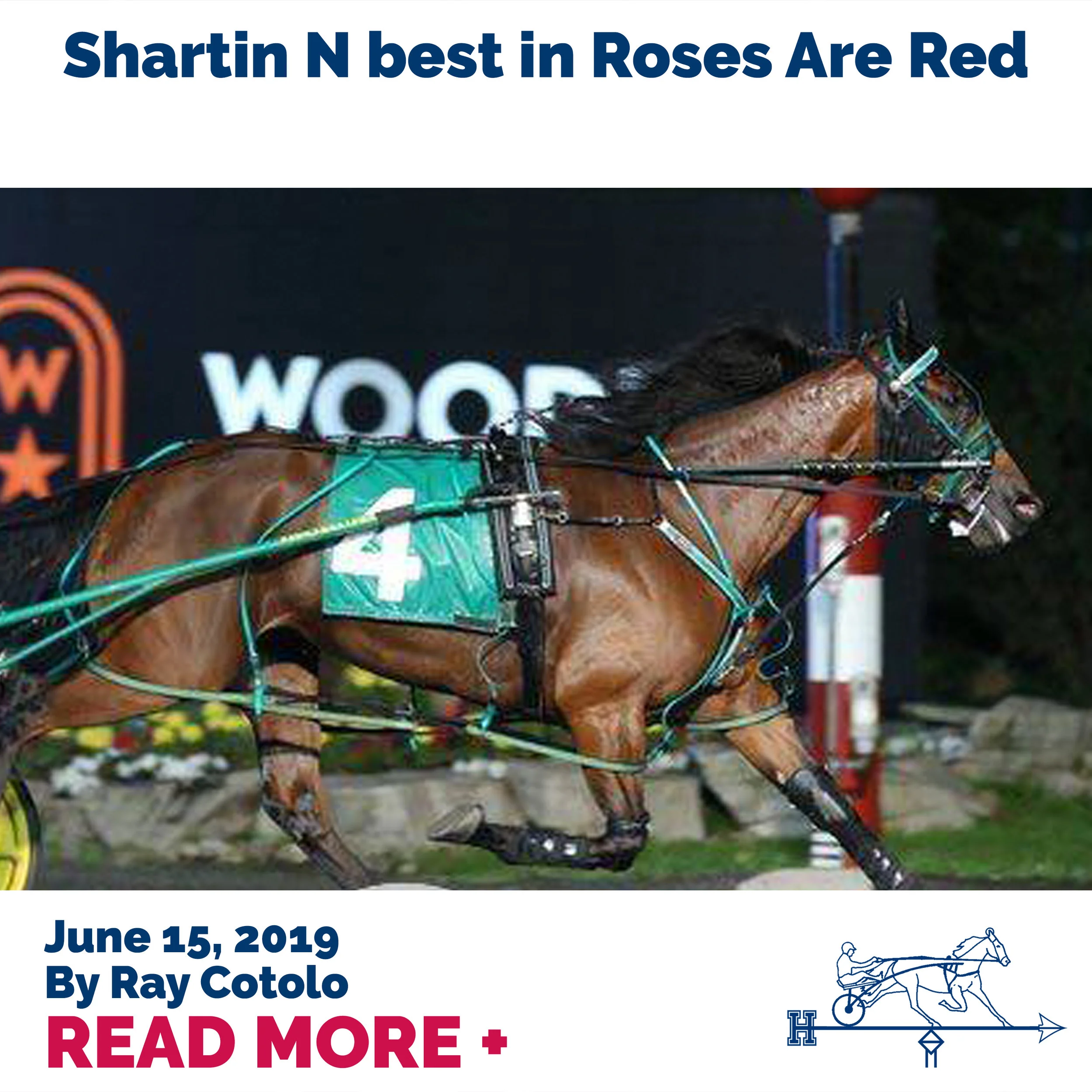 Shartin N best in Roses Are Red