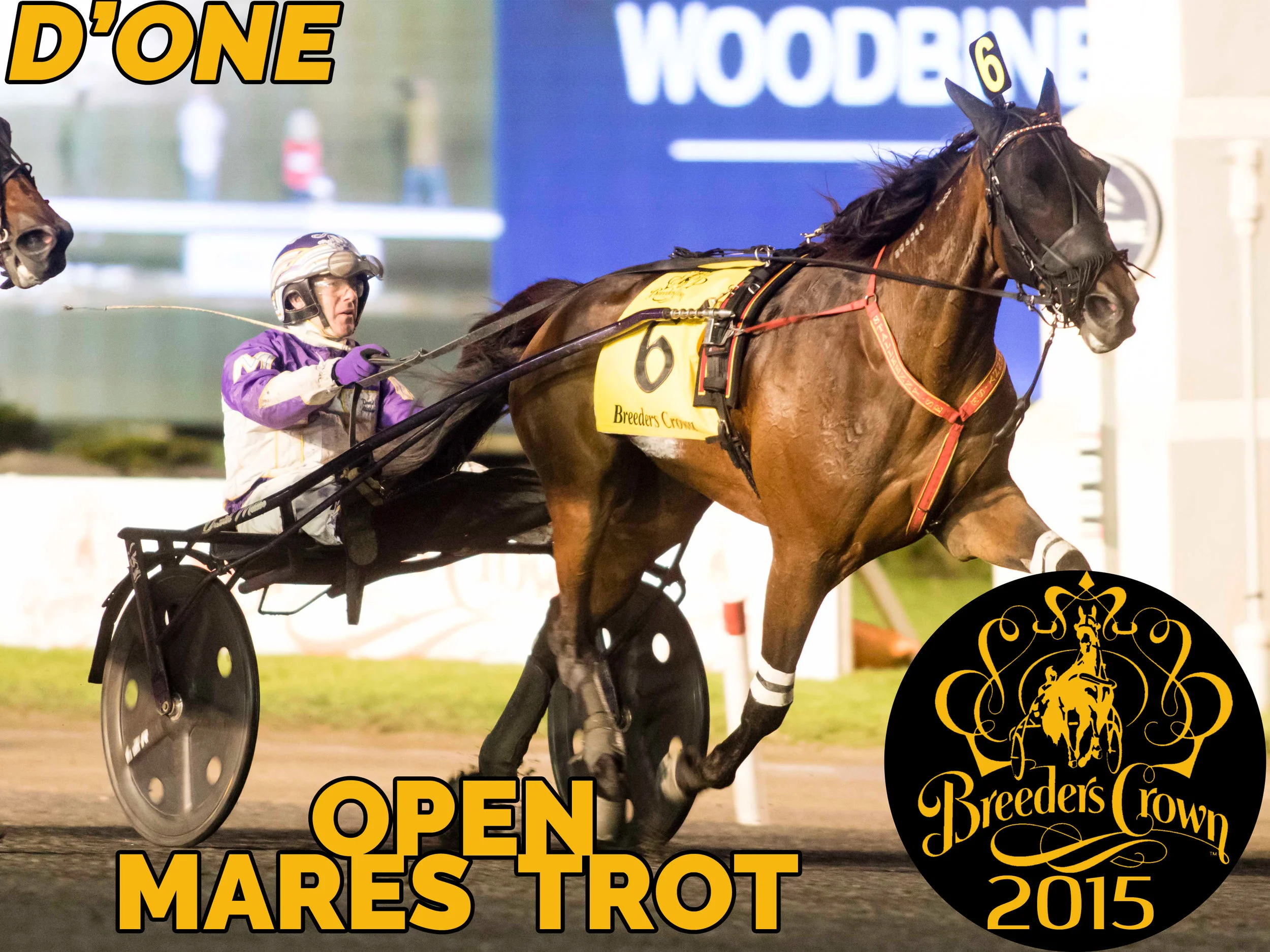 D'One - Mare Trot