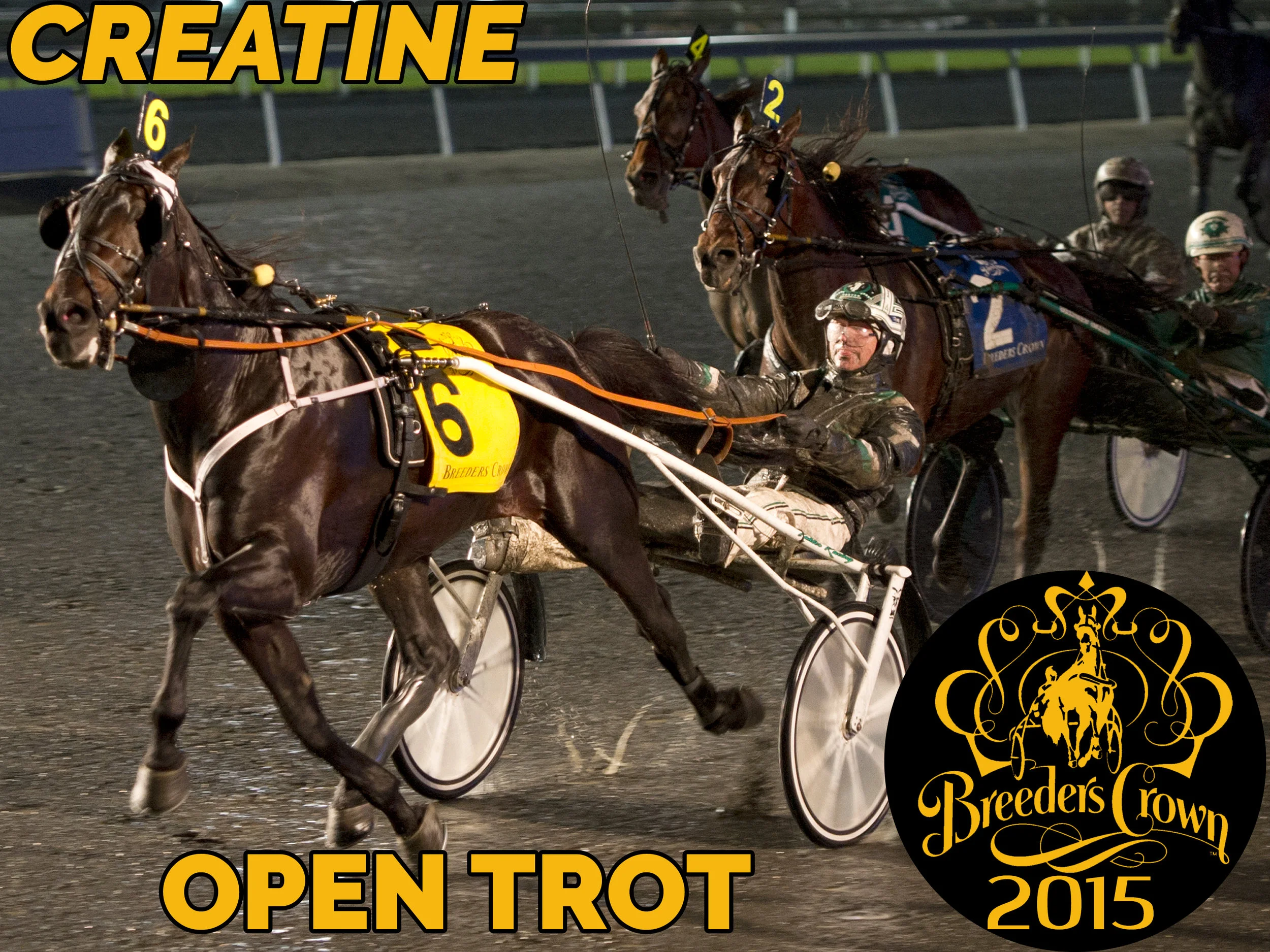 Creatine - Open Trot