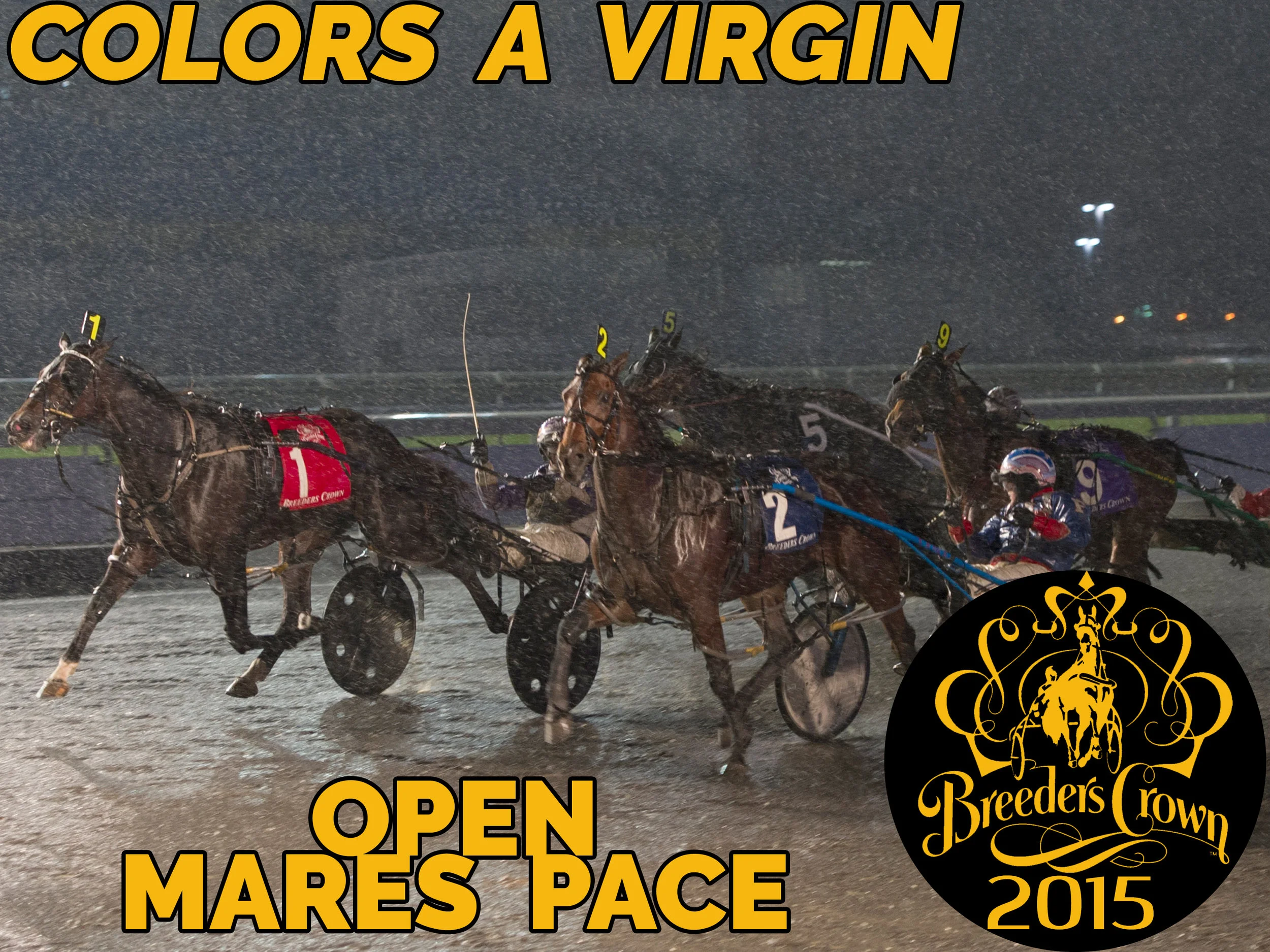 Colors A Virgin - Mare Pace