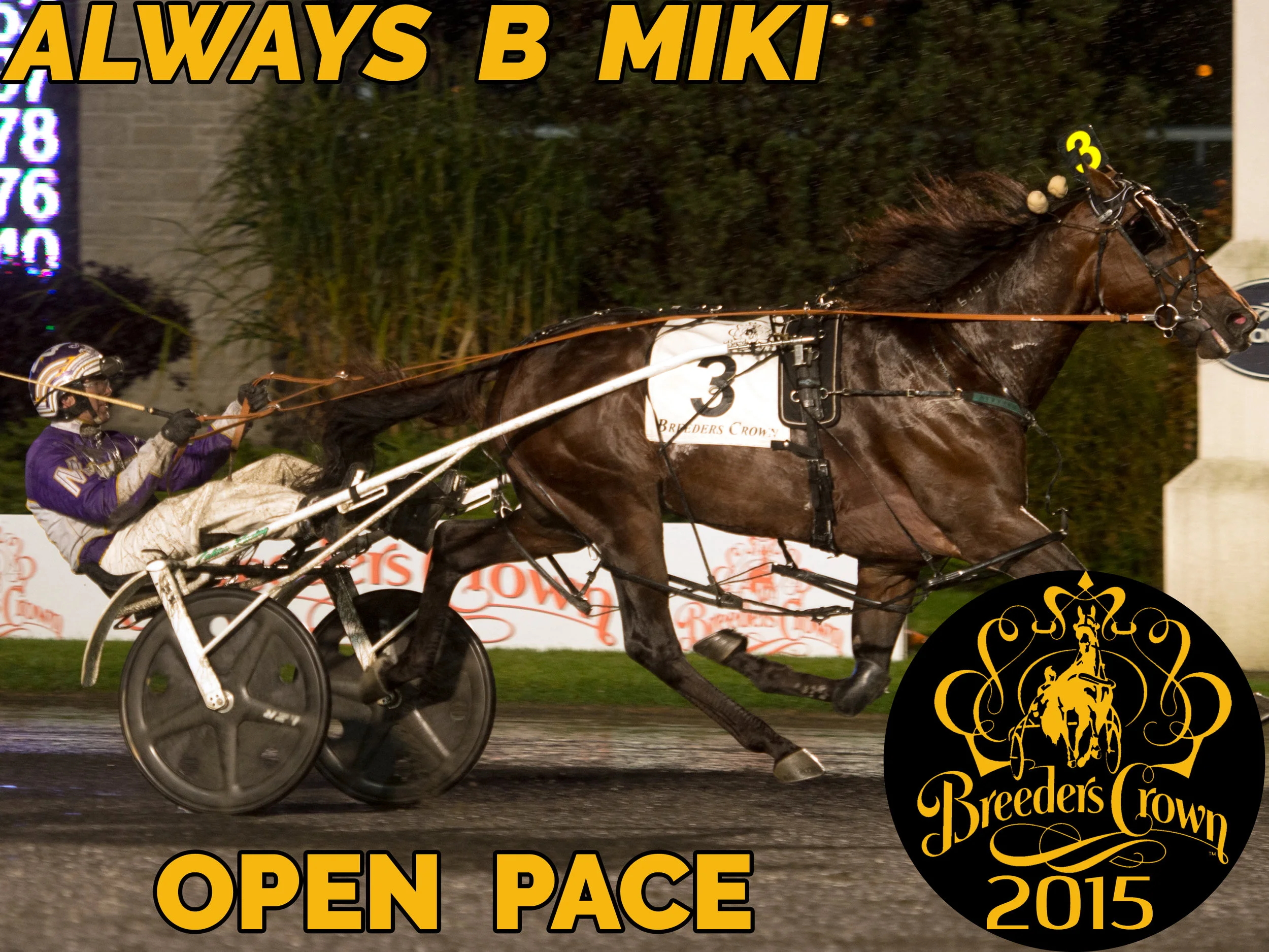 Always B Miki - Open Pace