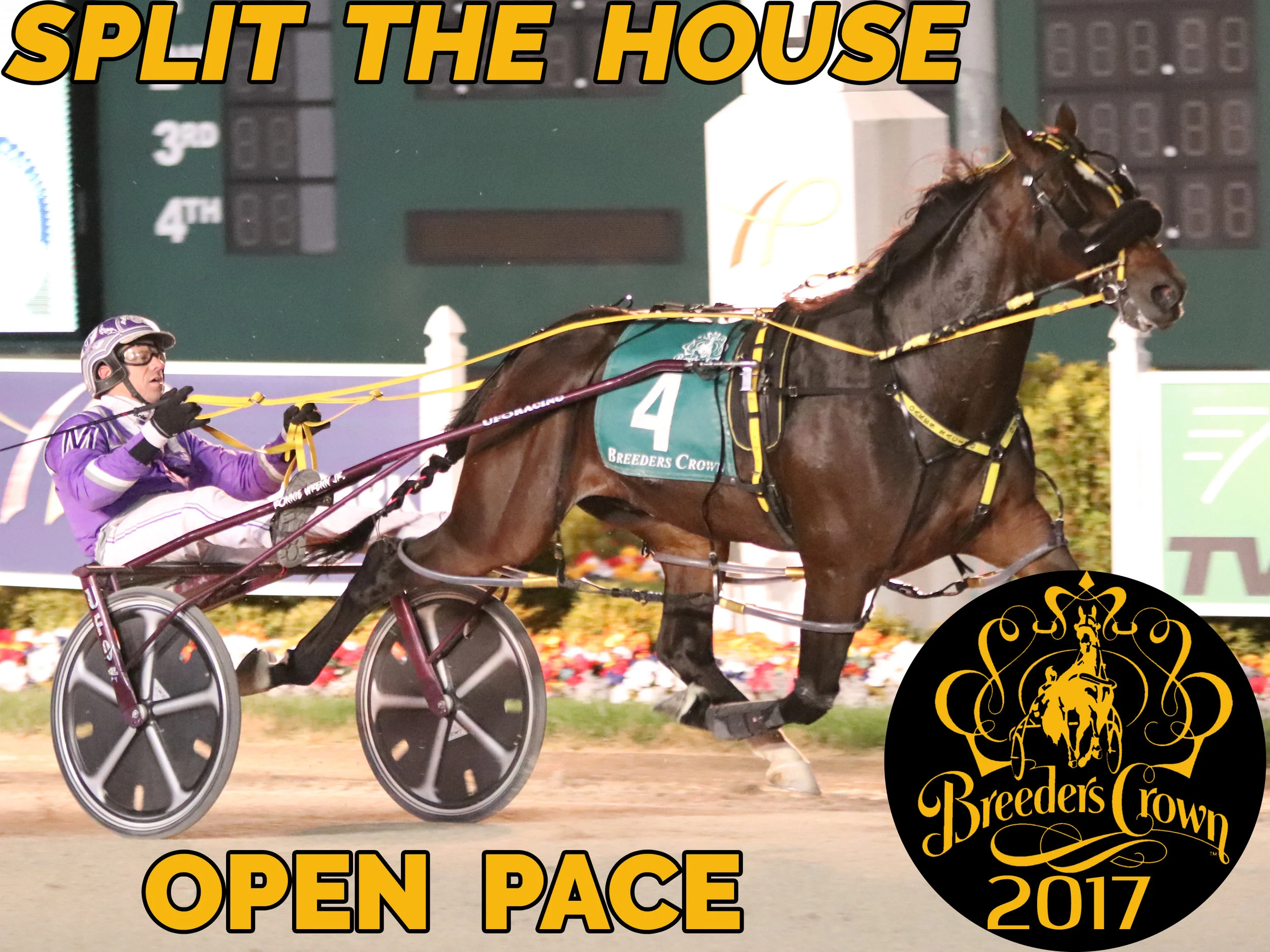 Split The House - Open Pace