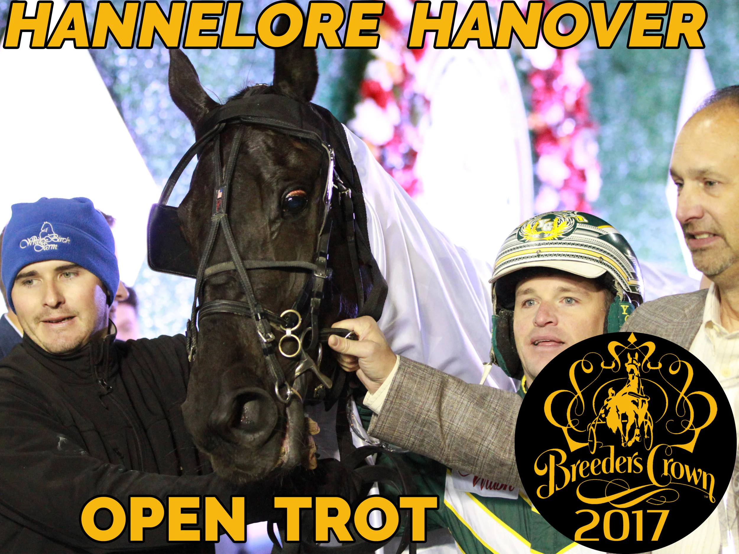 Hannelore Hanover - Open Trot