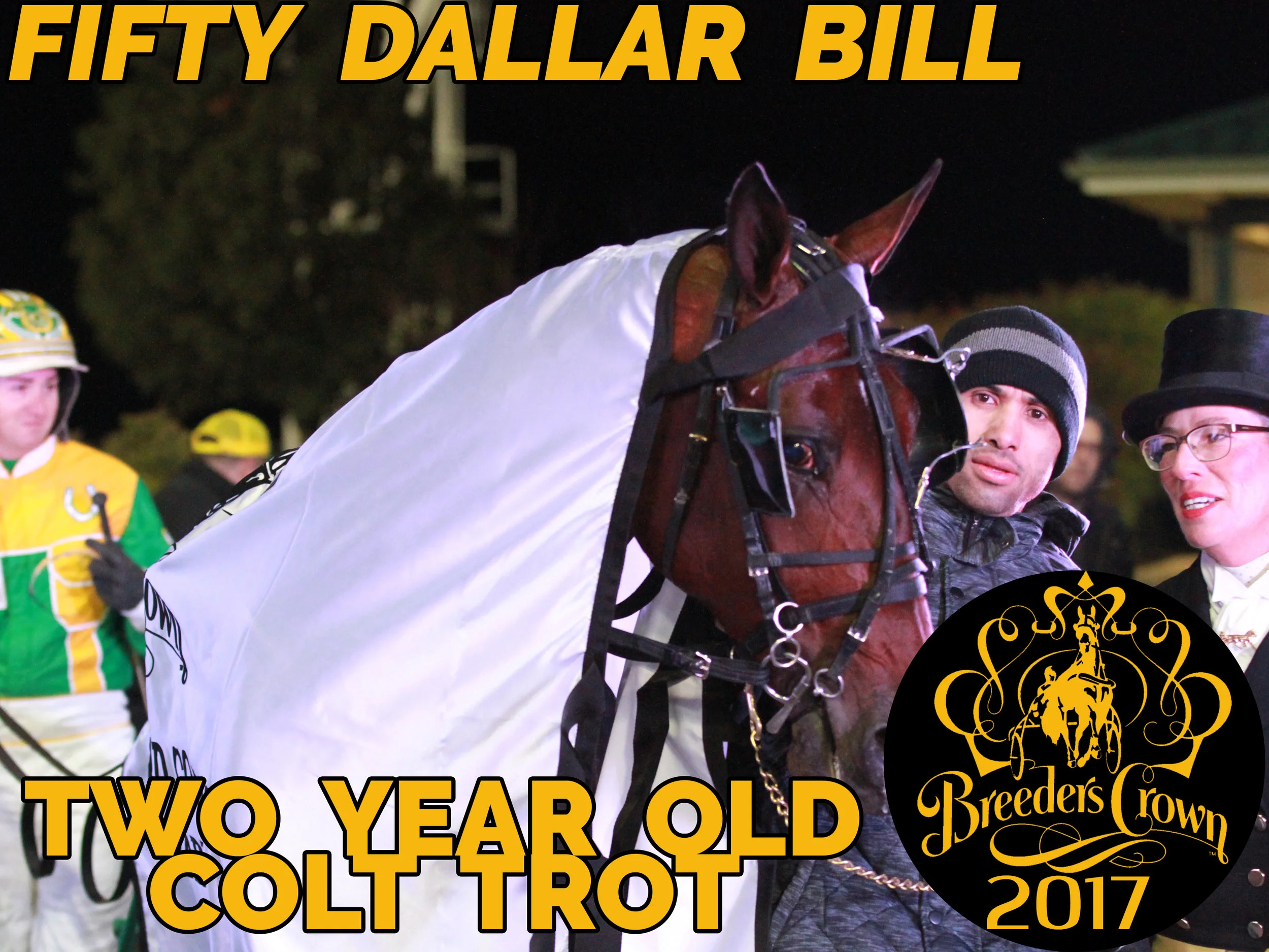 Fifty Dallar Bill - 2CT