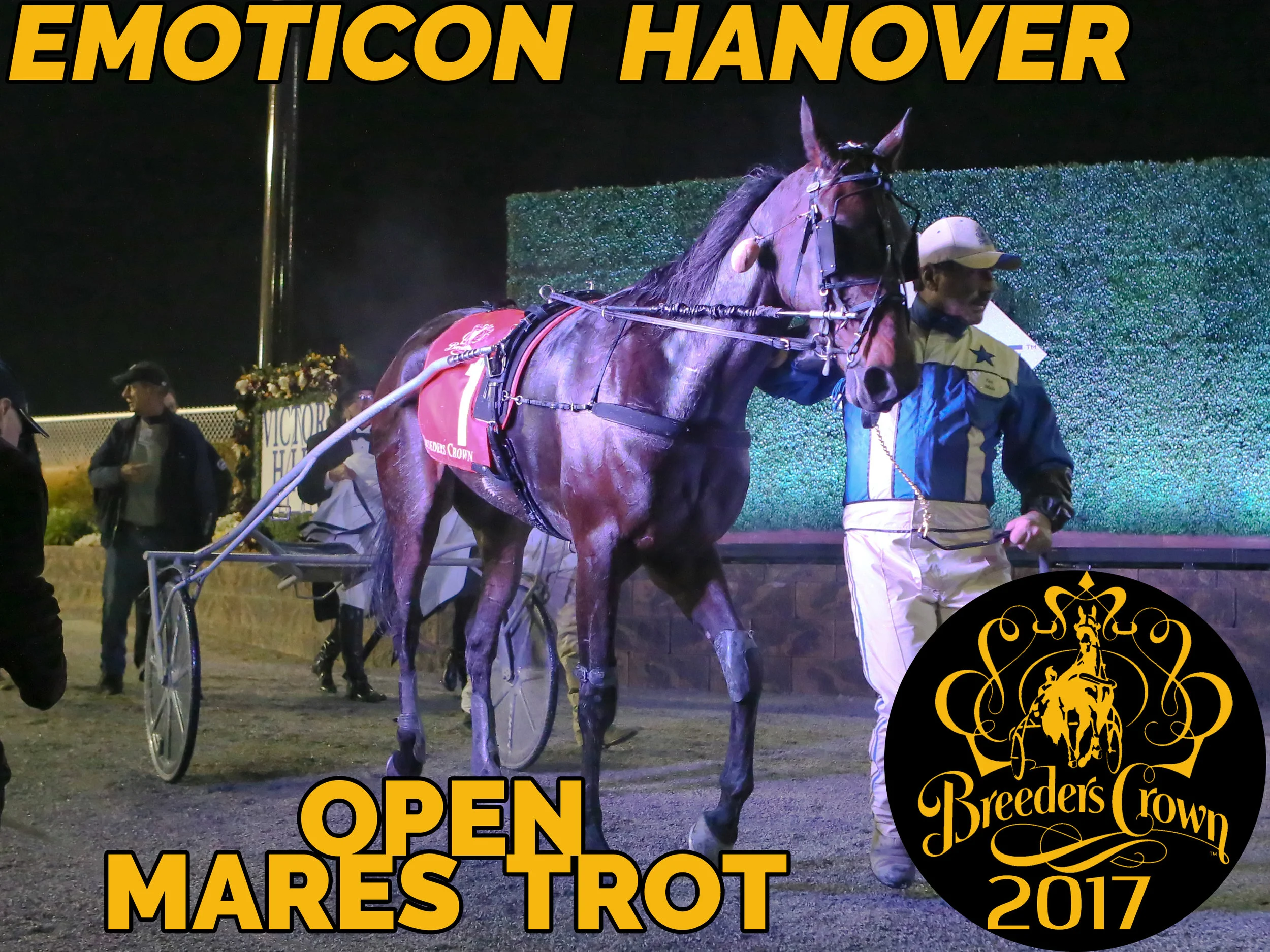 Emoticon Hanover - Mare Trot