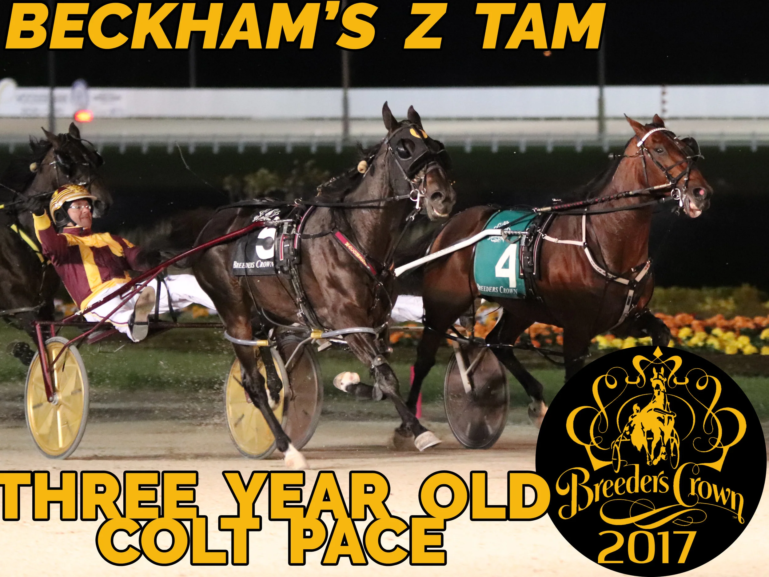 Beckham's Z Tam - 3CP