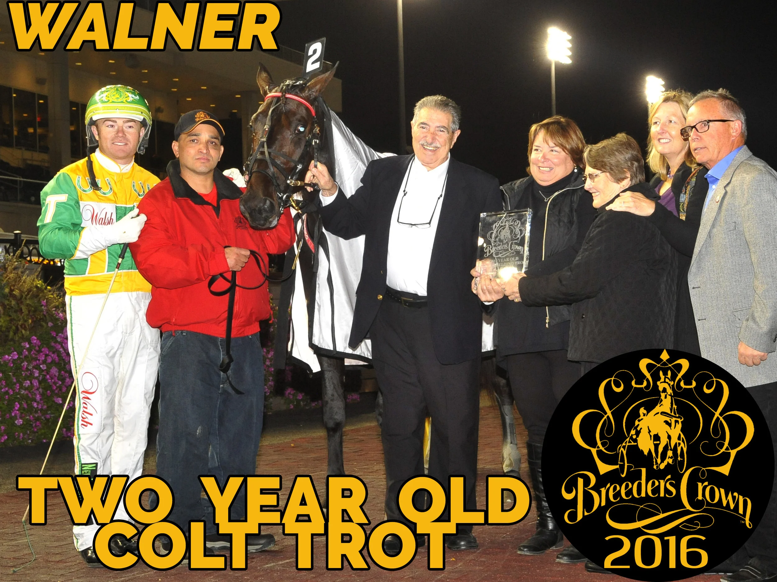 Walner - 2CT