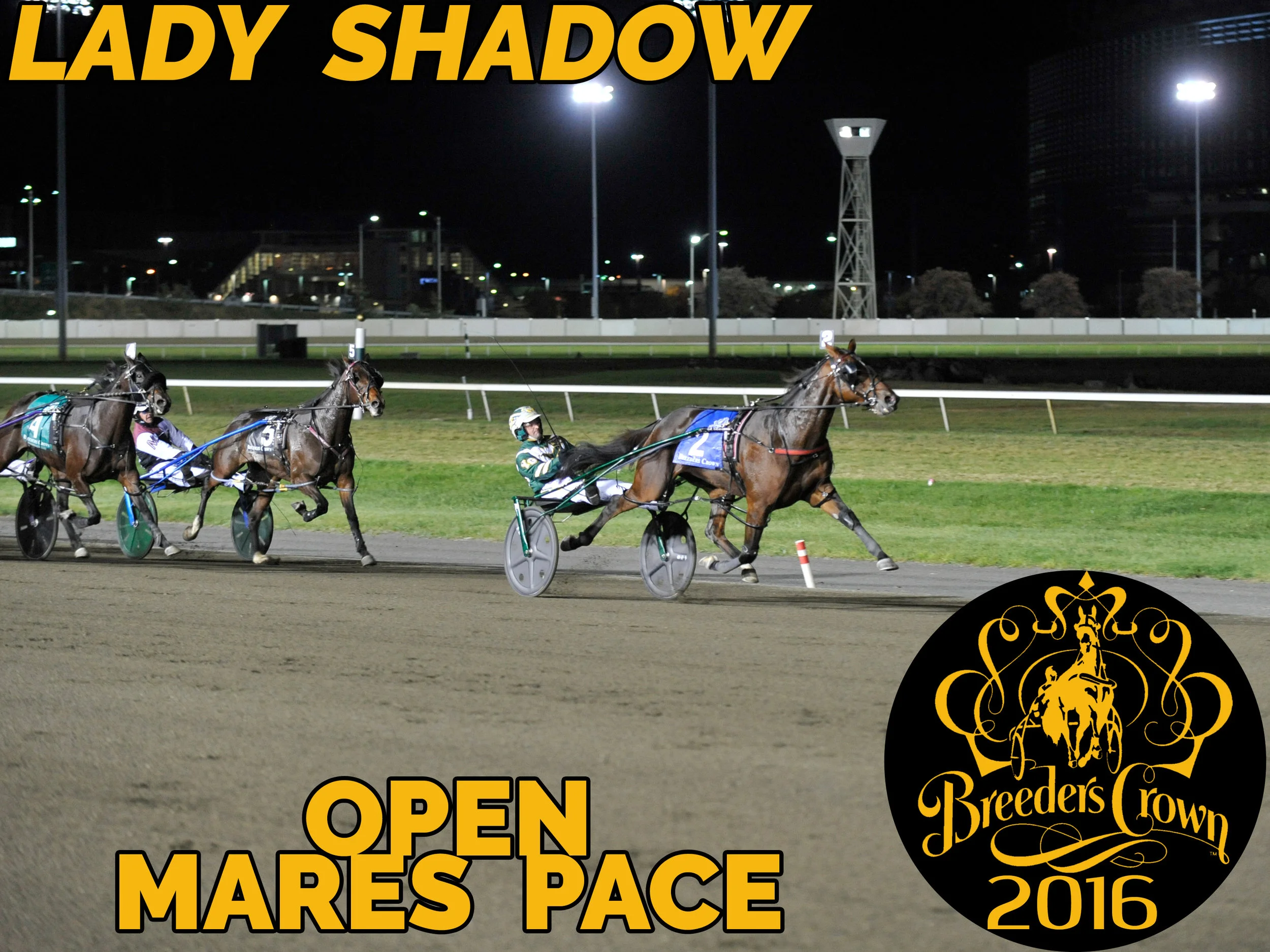 Lady Shadow - Mare Pace