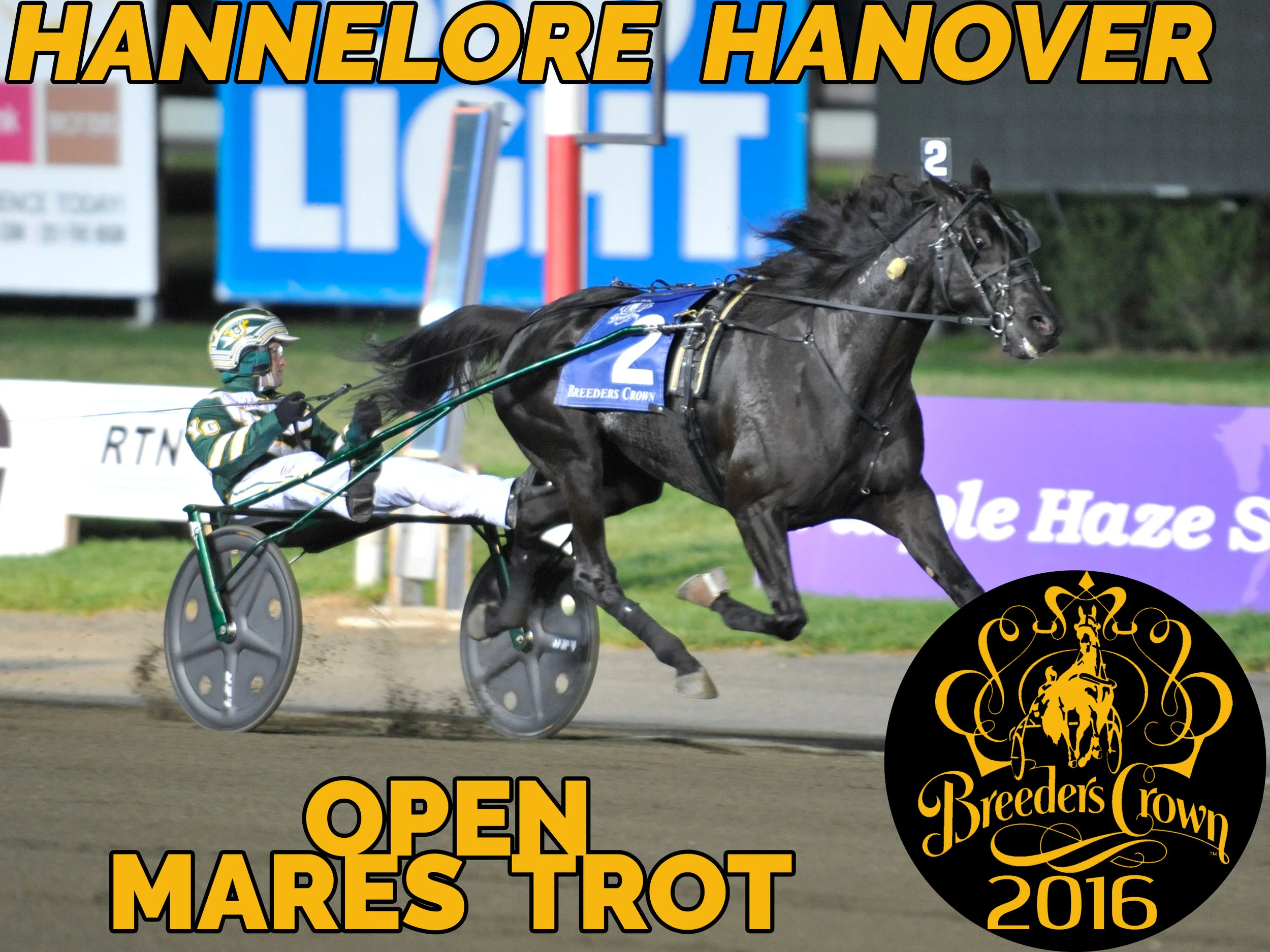 Hannelore Hanover - Mare Trot