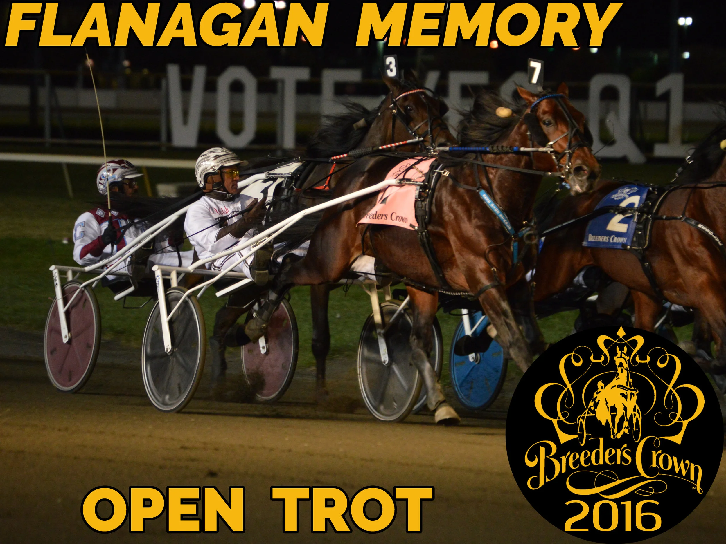 Flanagan Memory - Open Trot