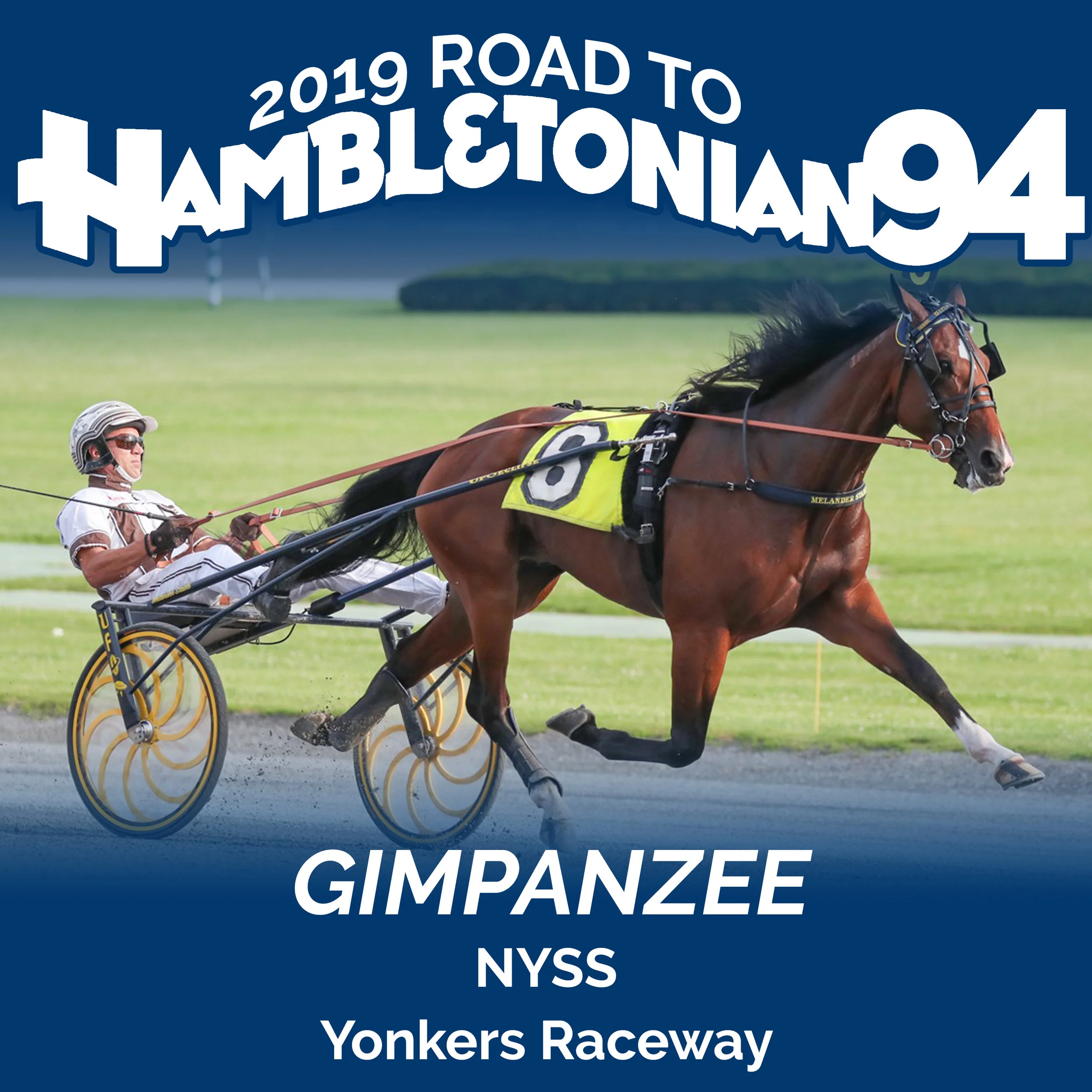 Gimpanzee Goes 11 for 11 as part of Yonkers $165,499 NYSS Dick McGuire Trot
