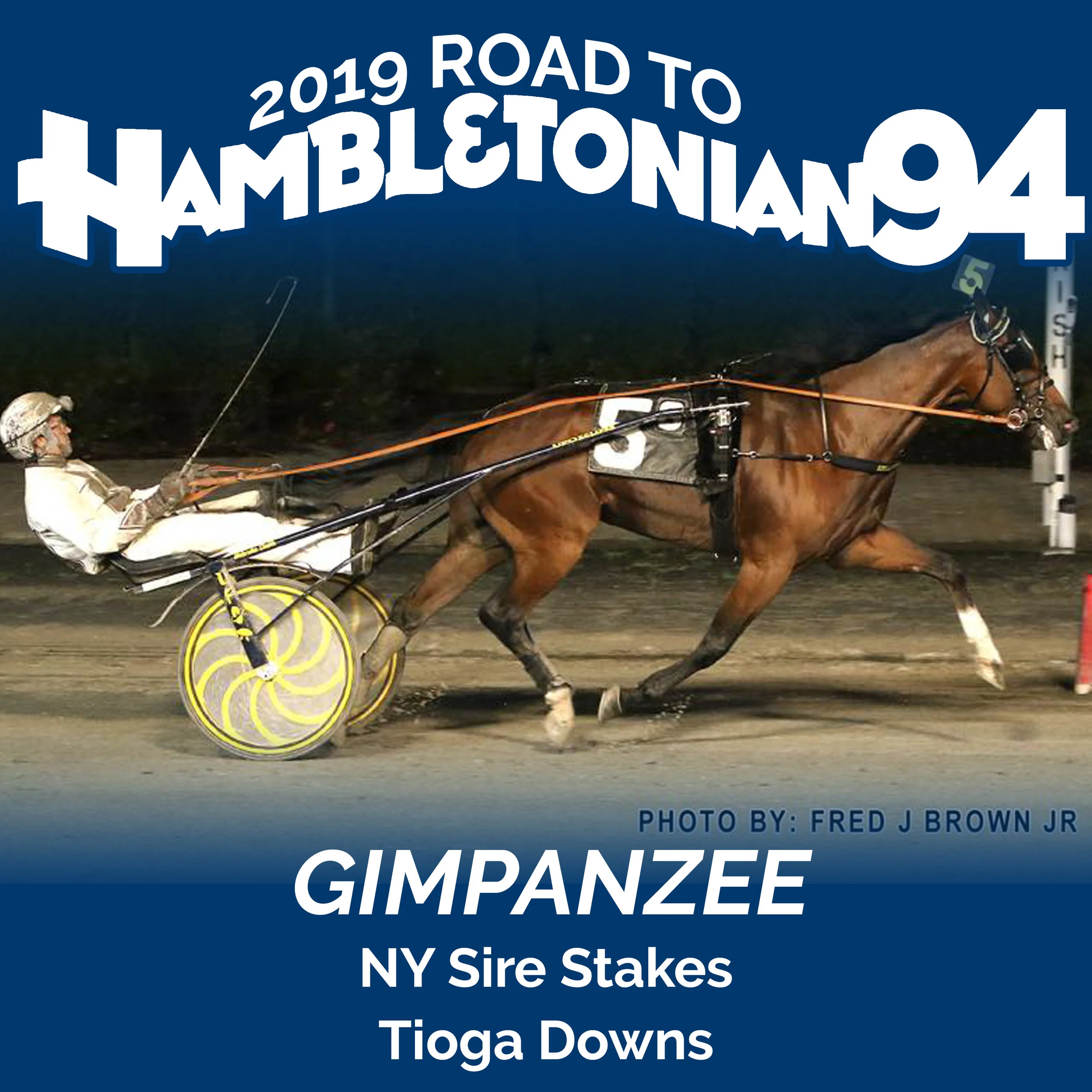 Gimpanzee remains unbeaten after NYSS win at Tioga