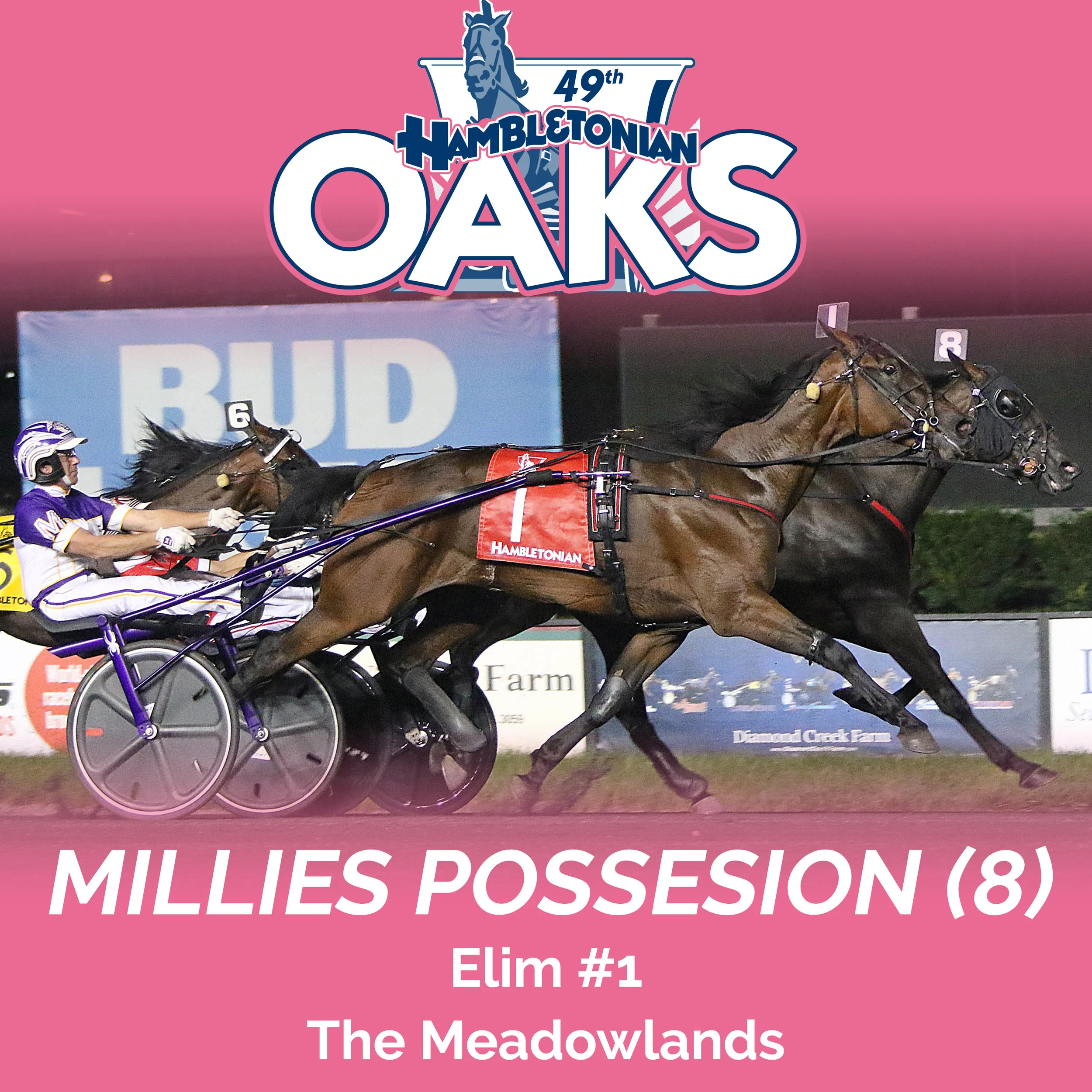 Millies Possesion wins Oaks Elim#1