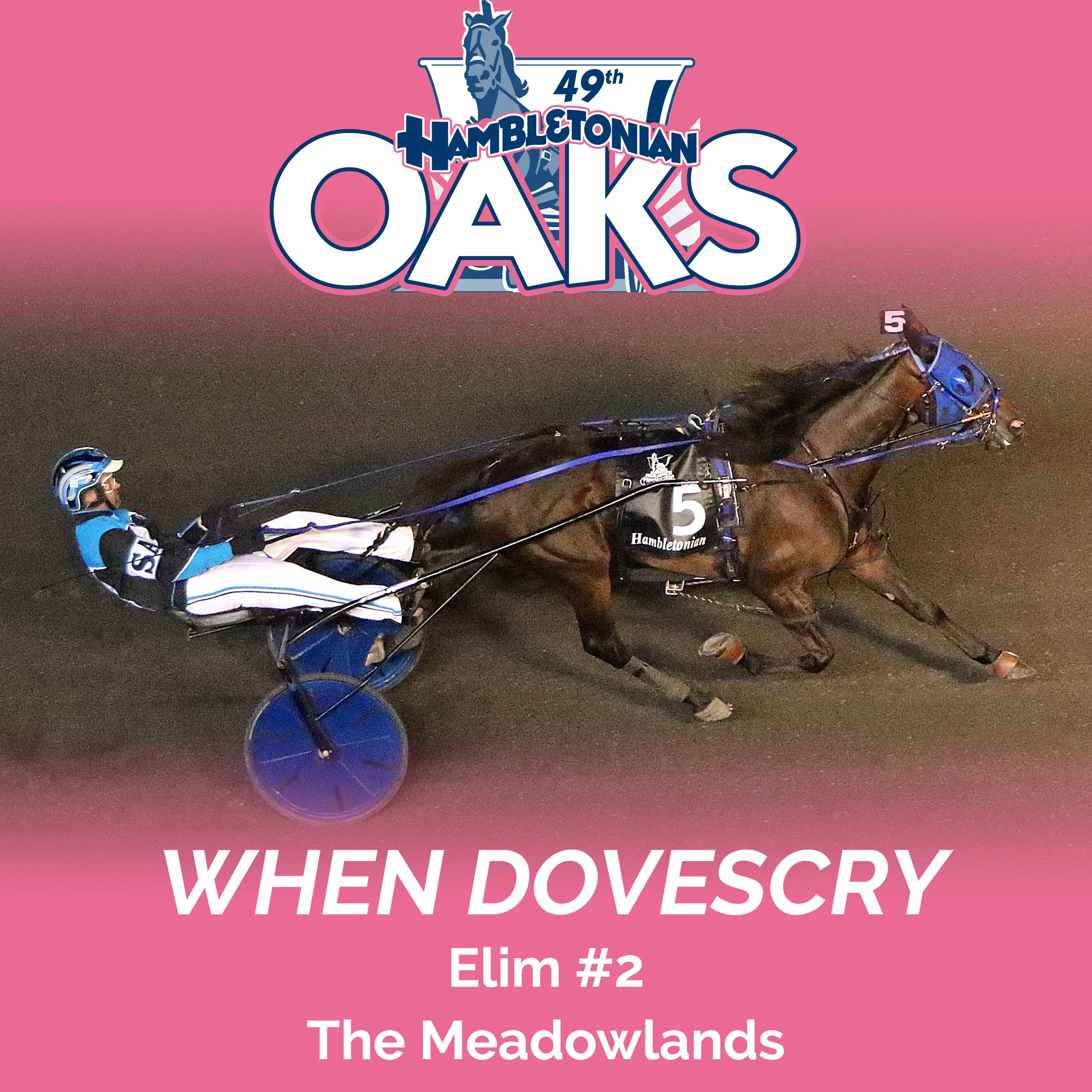 When Dovescry wins Oaks Elim#2