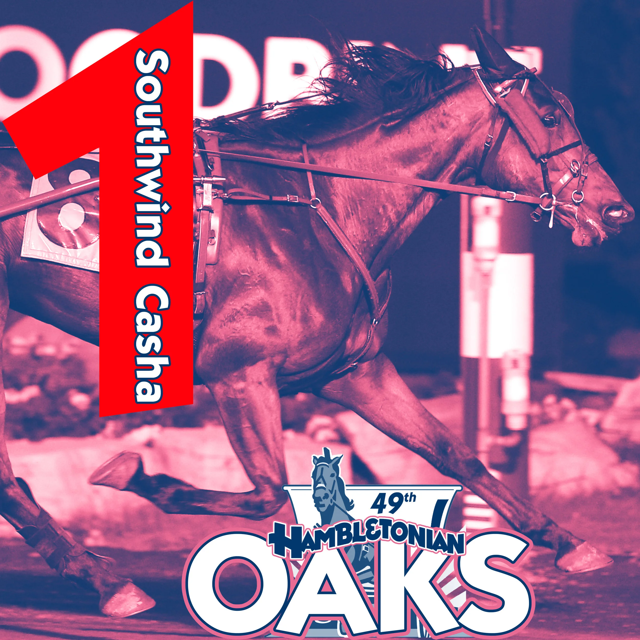 oaks 1.jpg