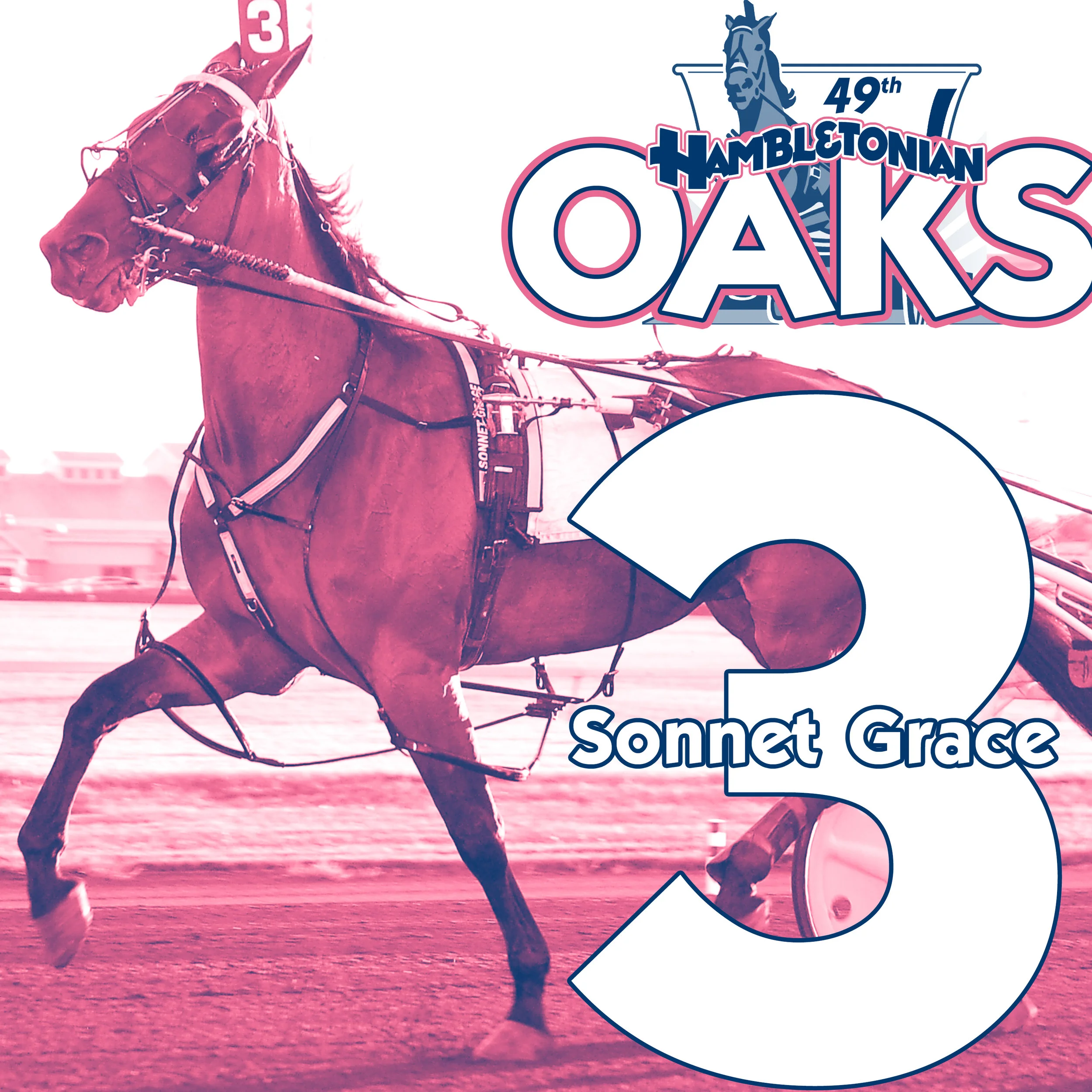 oaks 3.jpg