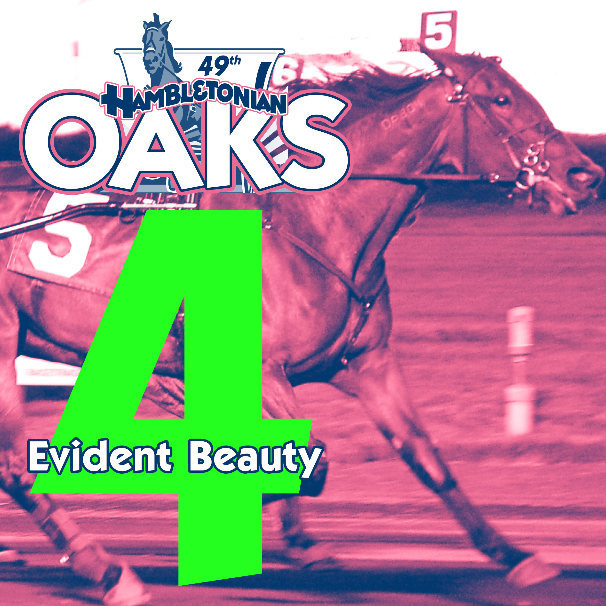 oaks 4.jpg
