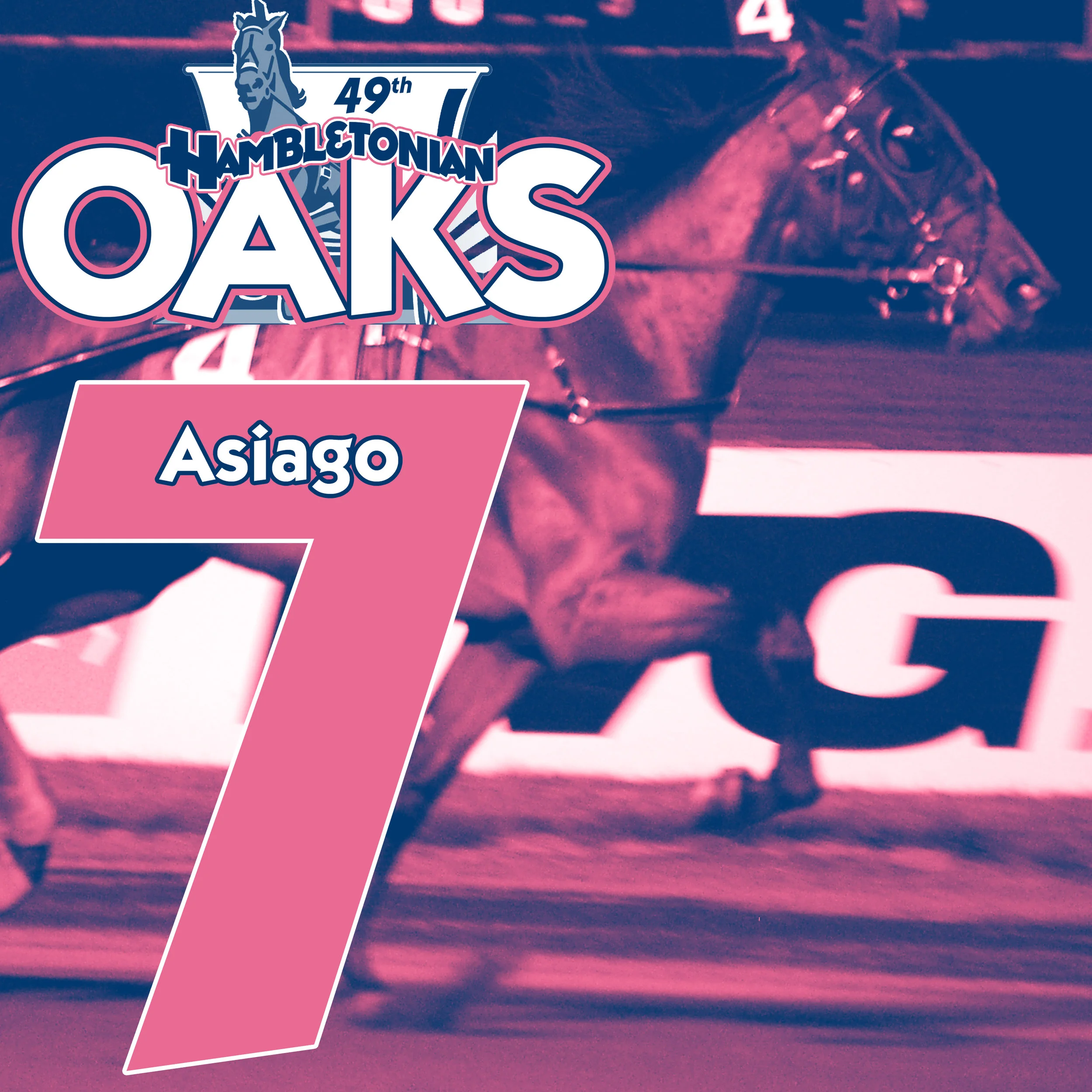 oaks 7.jpg