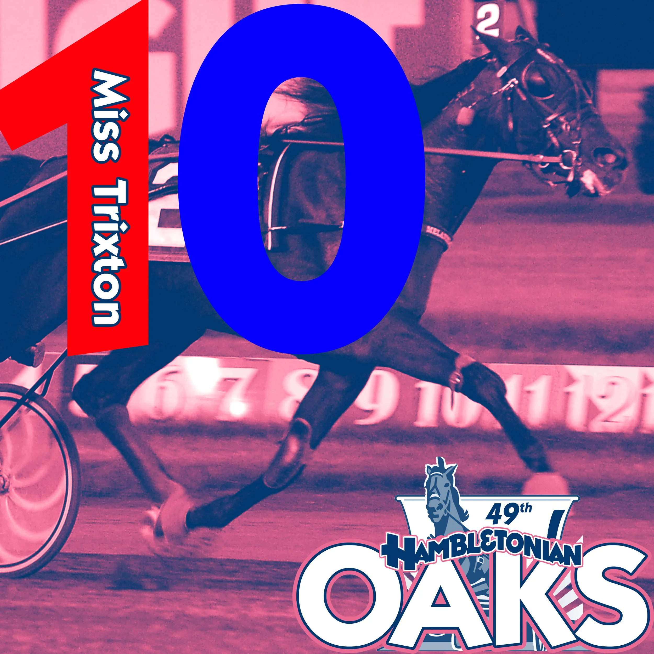 oaks 10.jpg