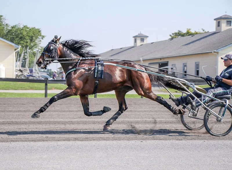 Hambletonian Notebook: LeBlanc anxiously awaits race with Pilot ...