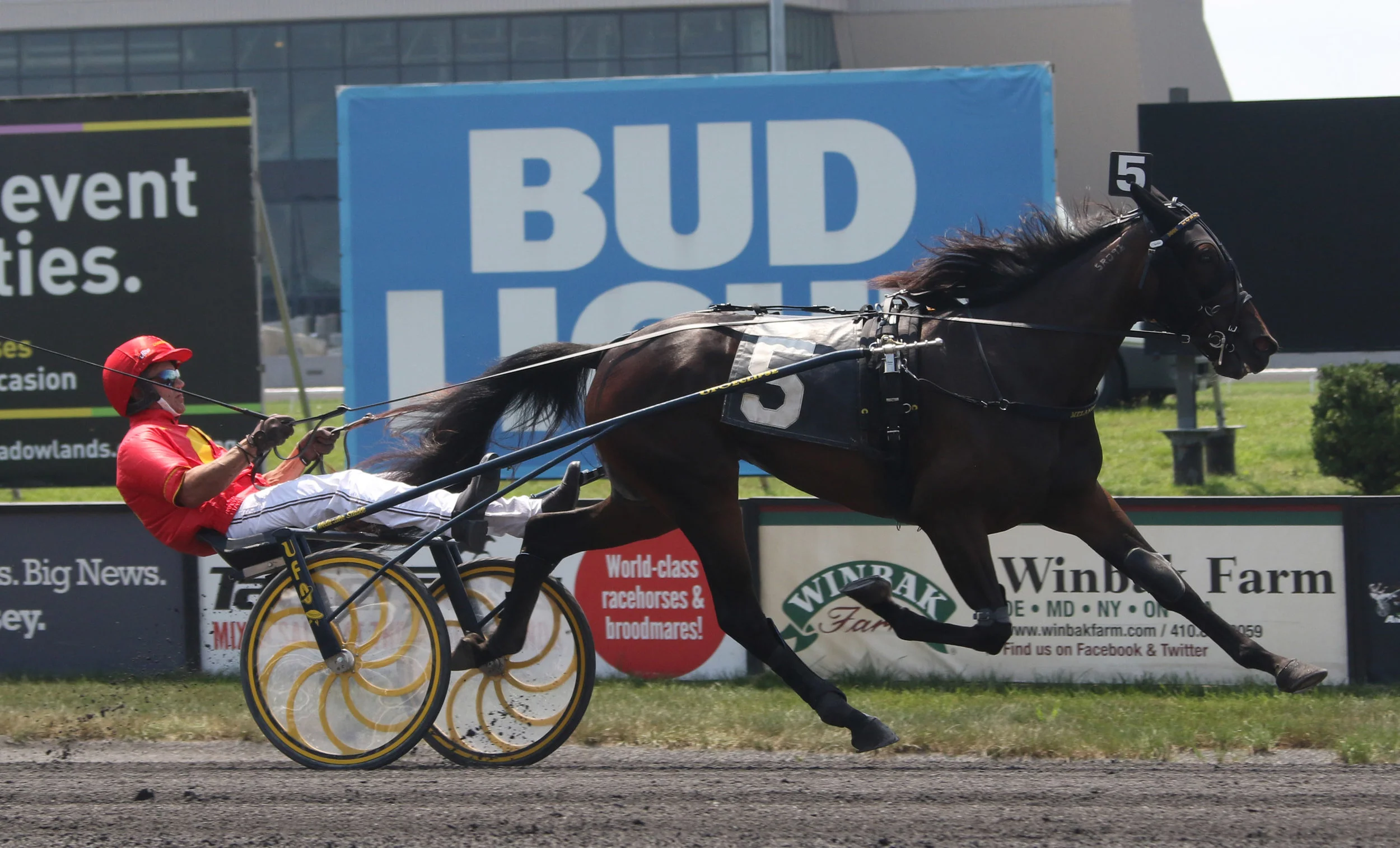 080319r4 HYPNOTIC AM.jpg