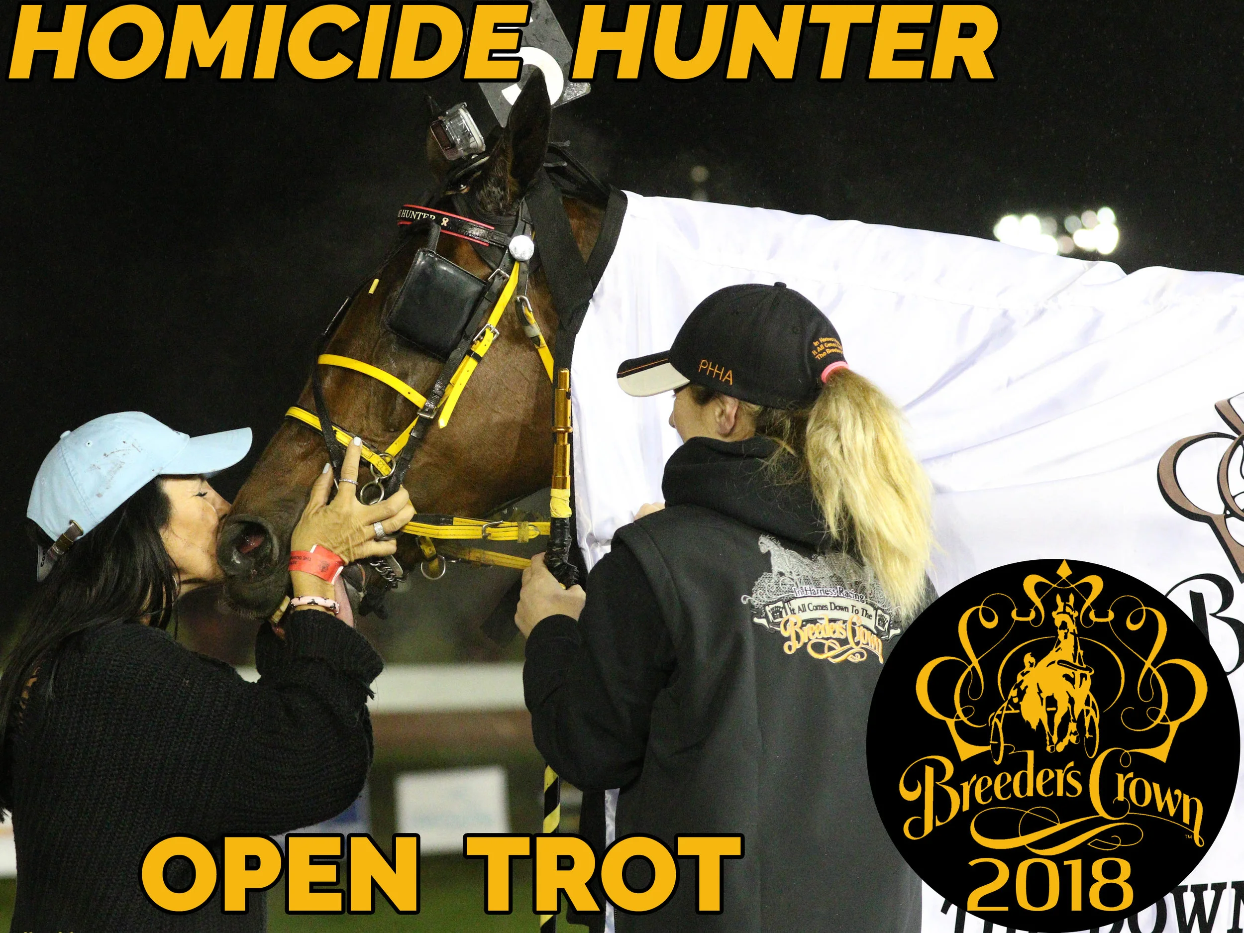 Homicide Hunter - Open Trot