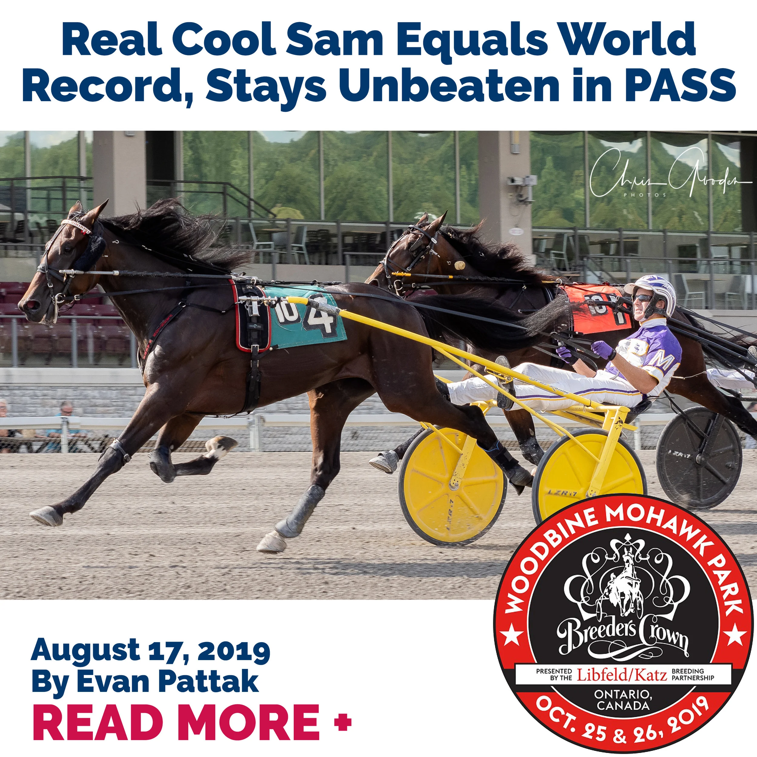 Real Cool Sam Equals World Record, Stays Unbeaten in PASS