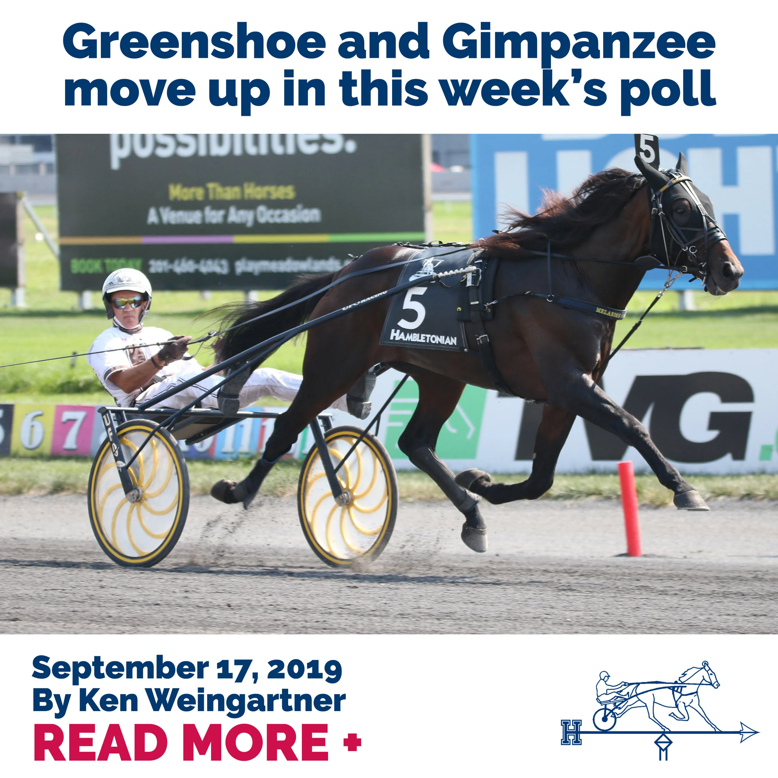 Greenshoe and Gimpanzee move up in this week’s poll