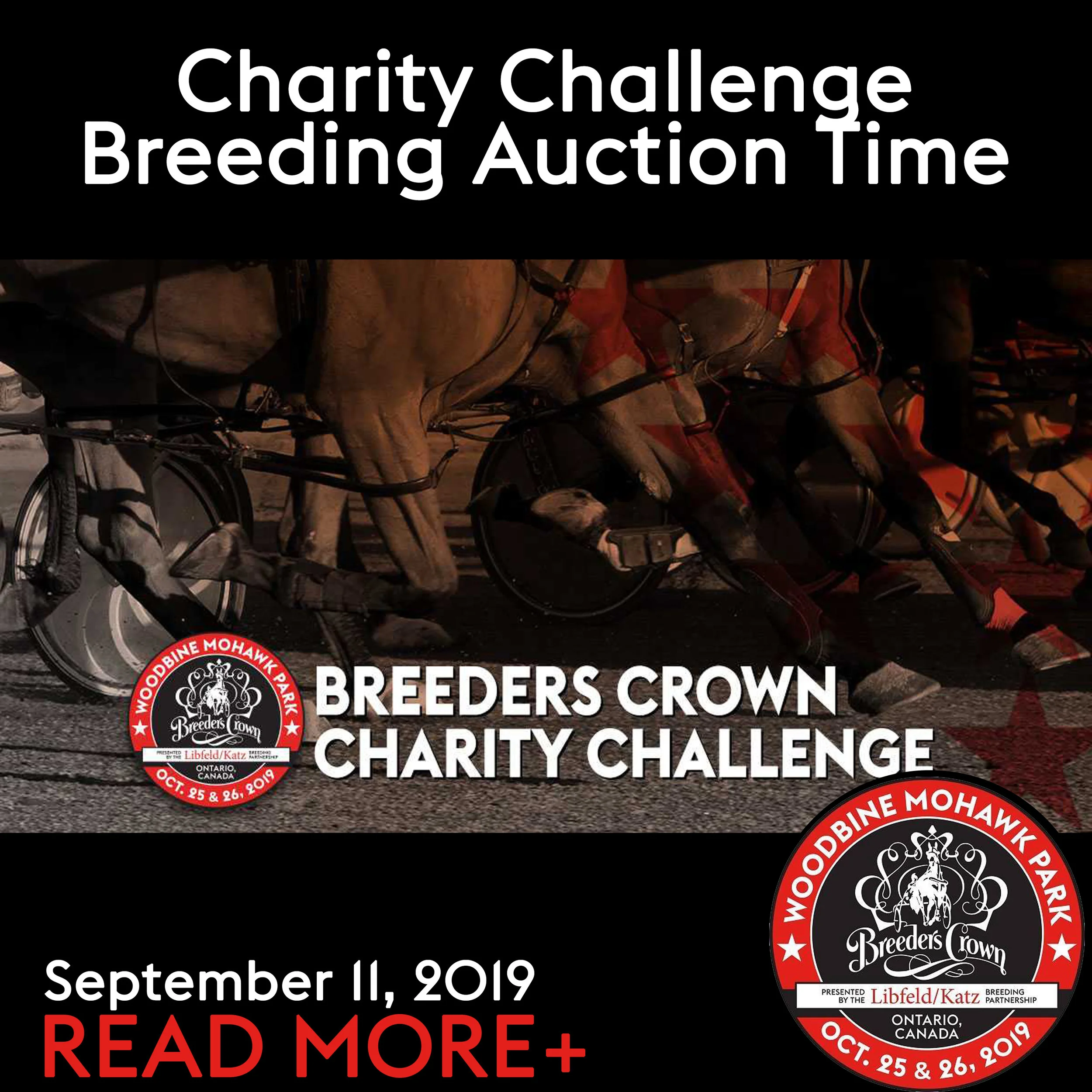 Charity Challenge Breeding Auction Time 