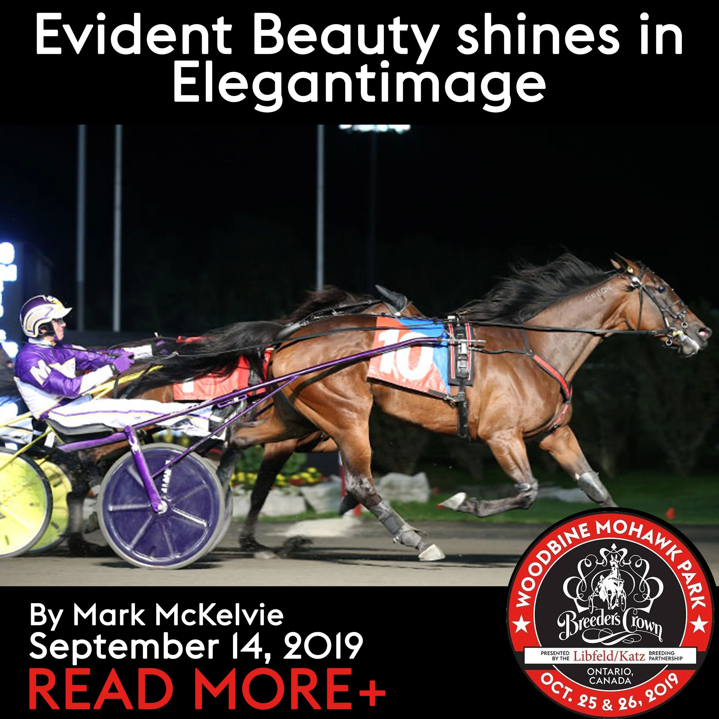 Evident Beauty shines in Elegantimage