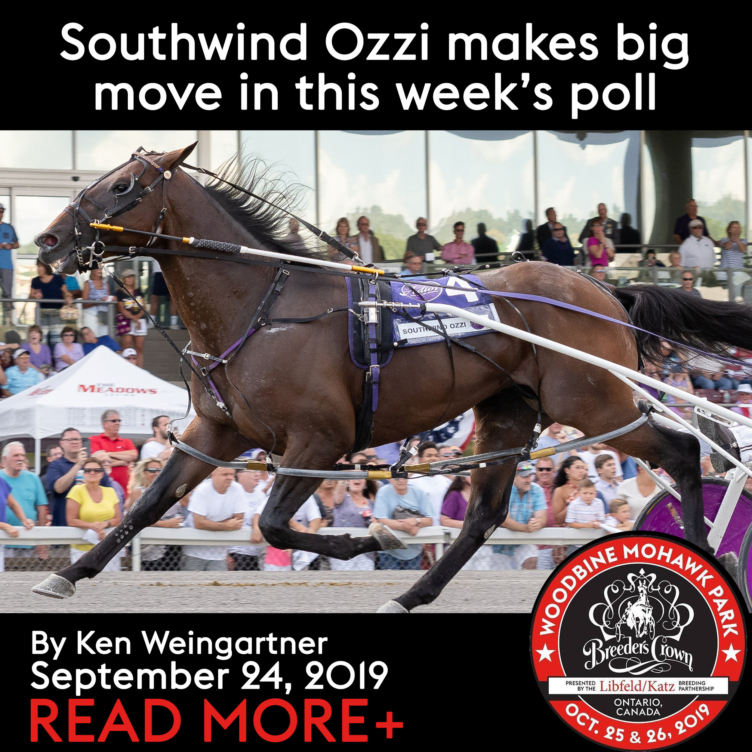  Southwind Ozzi makes big move in this week’s poll