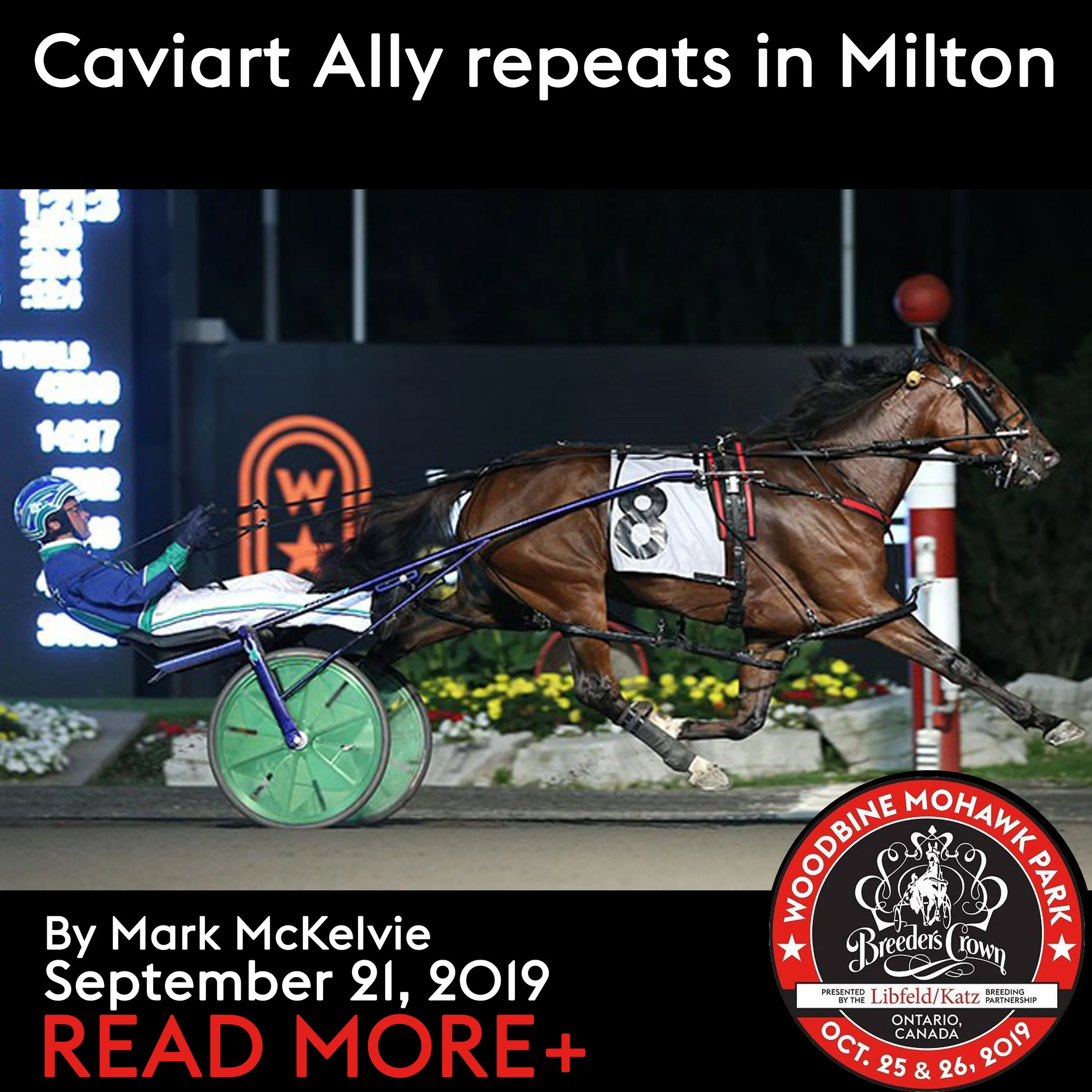 Caviart Ally repeats in Milton