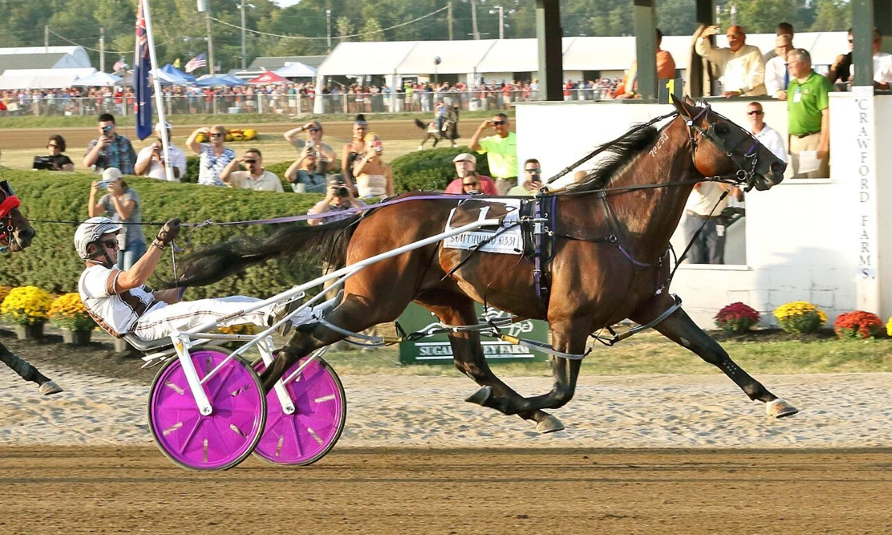 Southwind Ozzi Jug.jpg