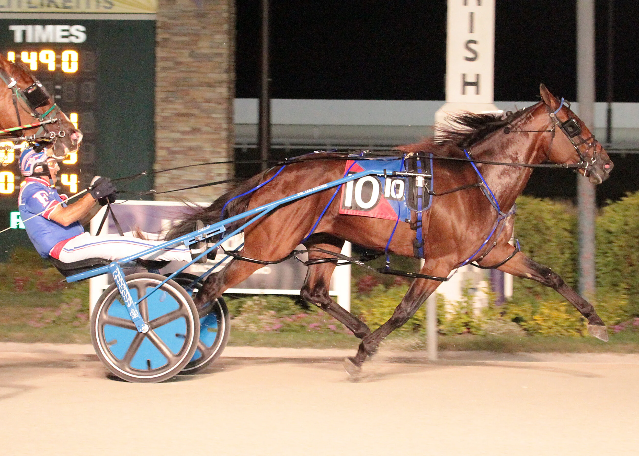 CENTURY FARROH - THE JENNAS BEACH  BOY 9-20.jpg