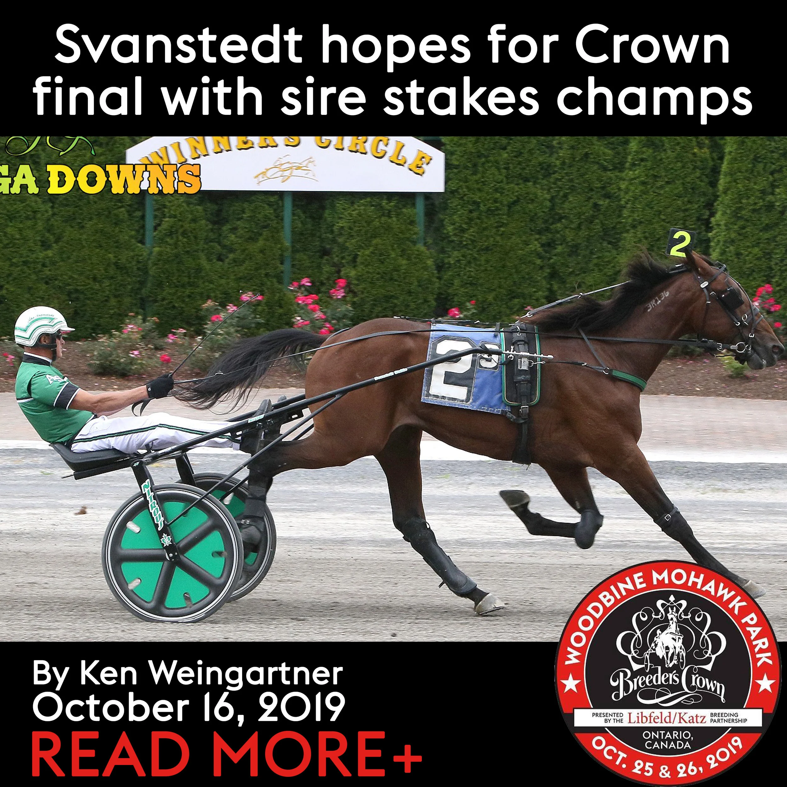 Svanstedt hopes for Crown final with sire stakes champs