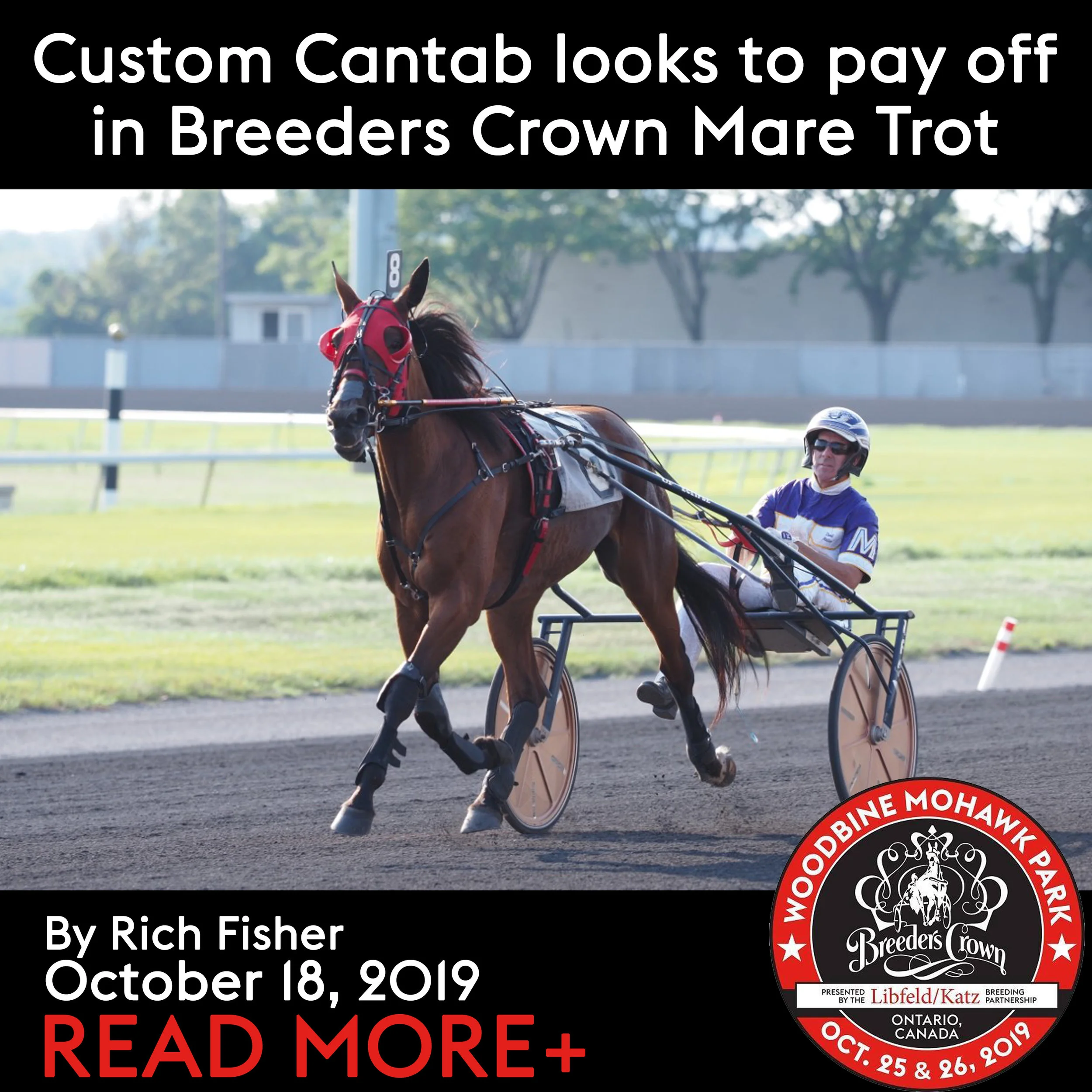 Custom Cantab looks to pay off in Breeders Crown Mare Trot