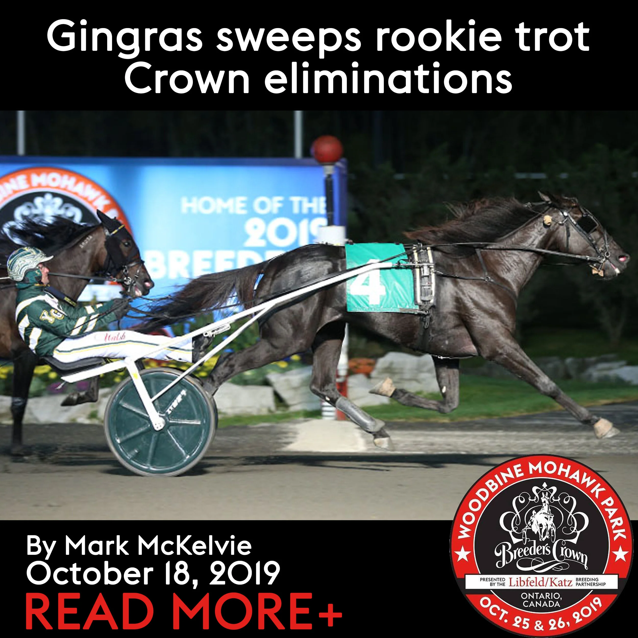 Gingras sweeps rookie trot Crown eliminations