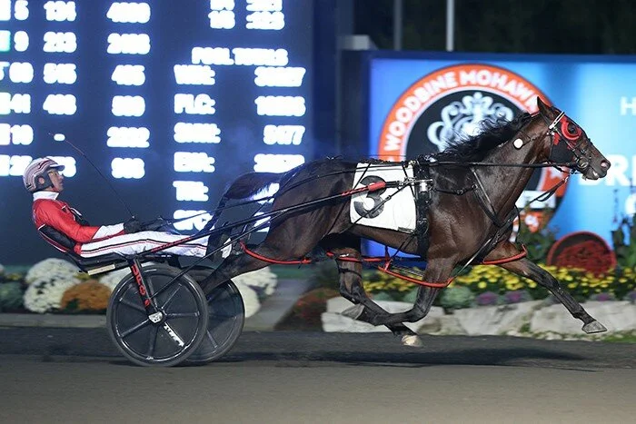 Dancin Lou Oct 19.jpg