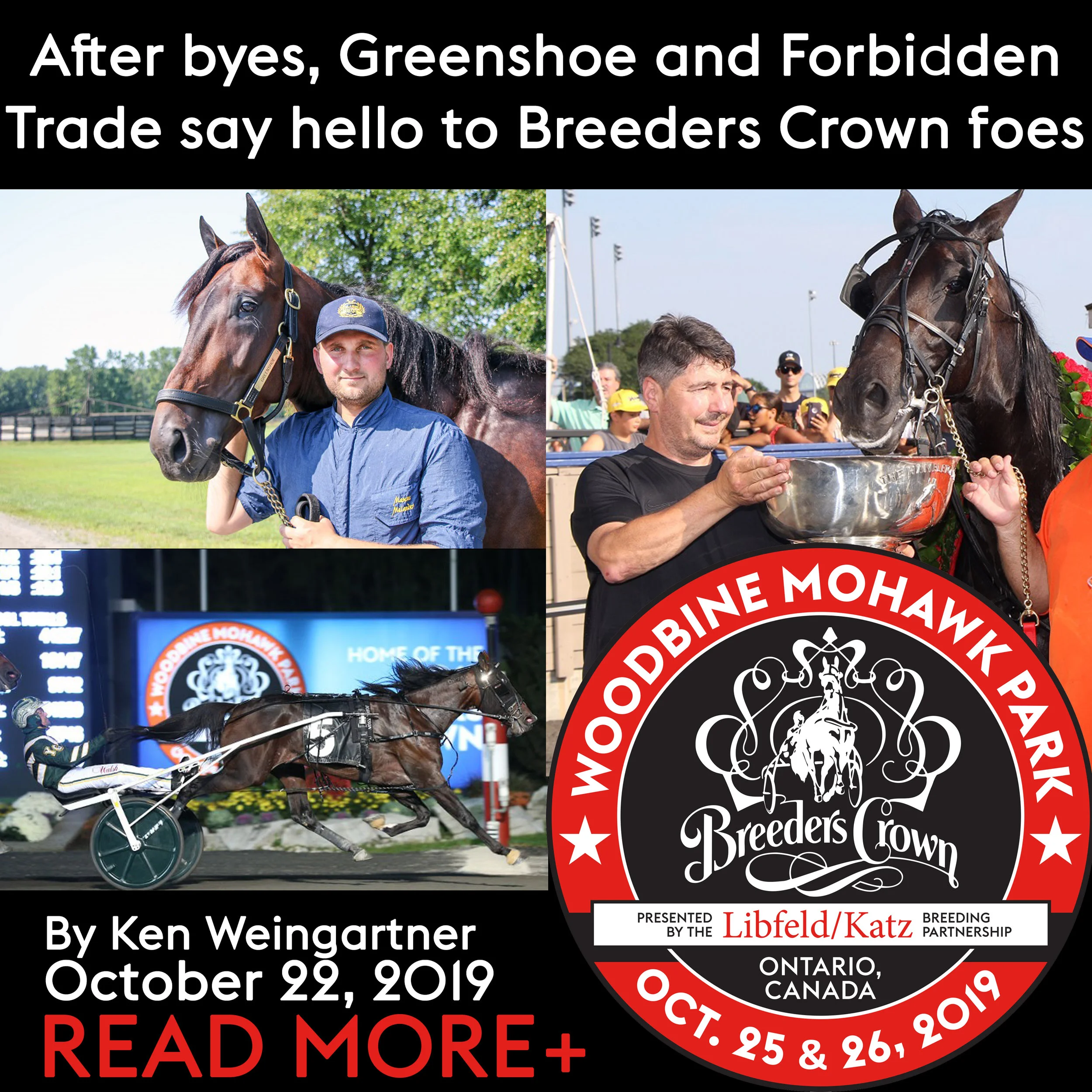 After byes, Greenshoe and Forbidden Trade say hello to Breeders Crown foes