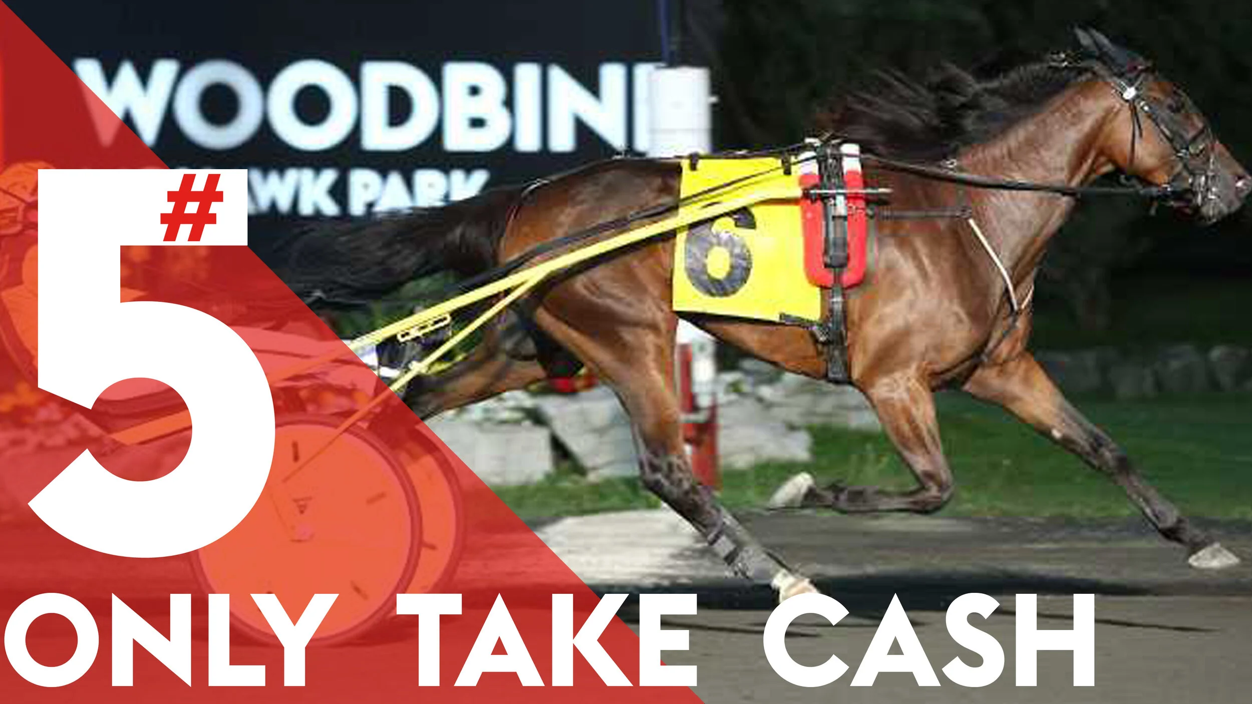 3ft5 only take cash.jpg