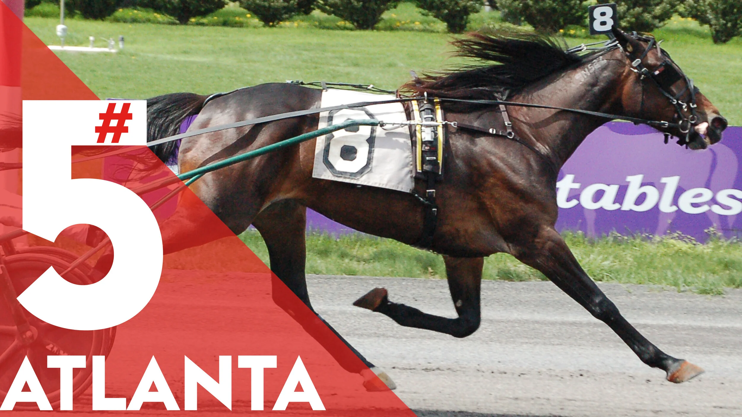  $250,000 Graduate  $220,000 Charlie Hill  $192,000 Armbro Flight 