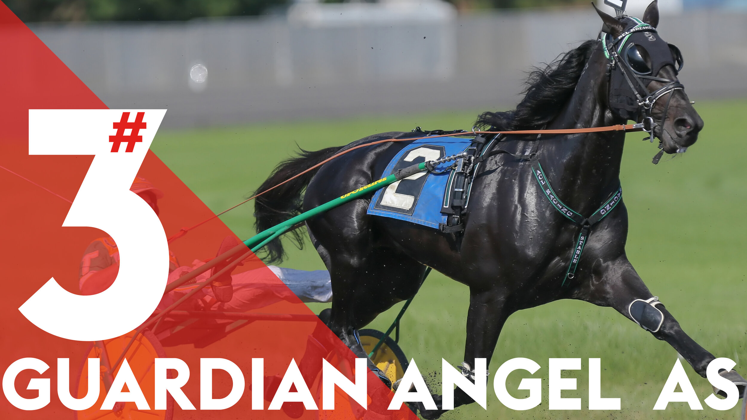  $600,000 Maple Leaf Trot 