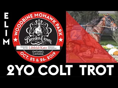 2019 Breeders Crown Elim - Synergy - 2YO Colt Trot (Copy)
