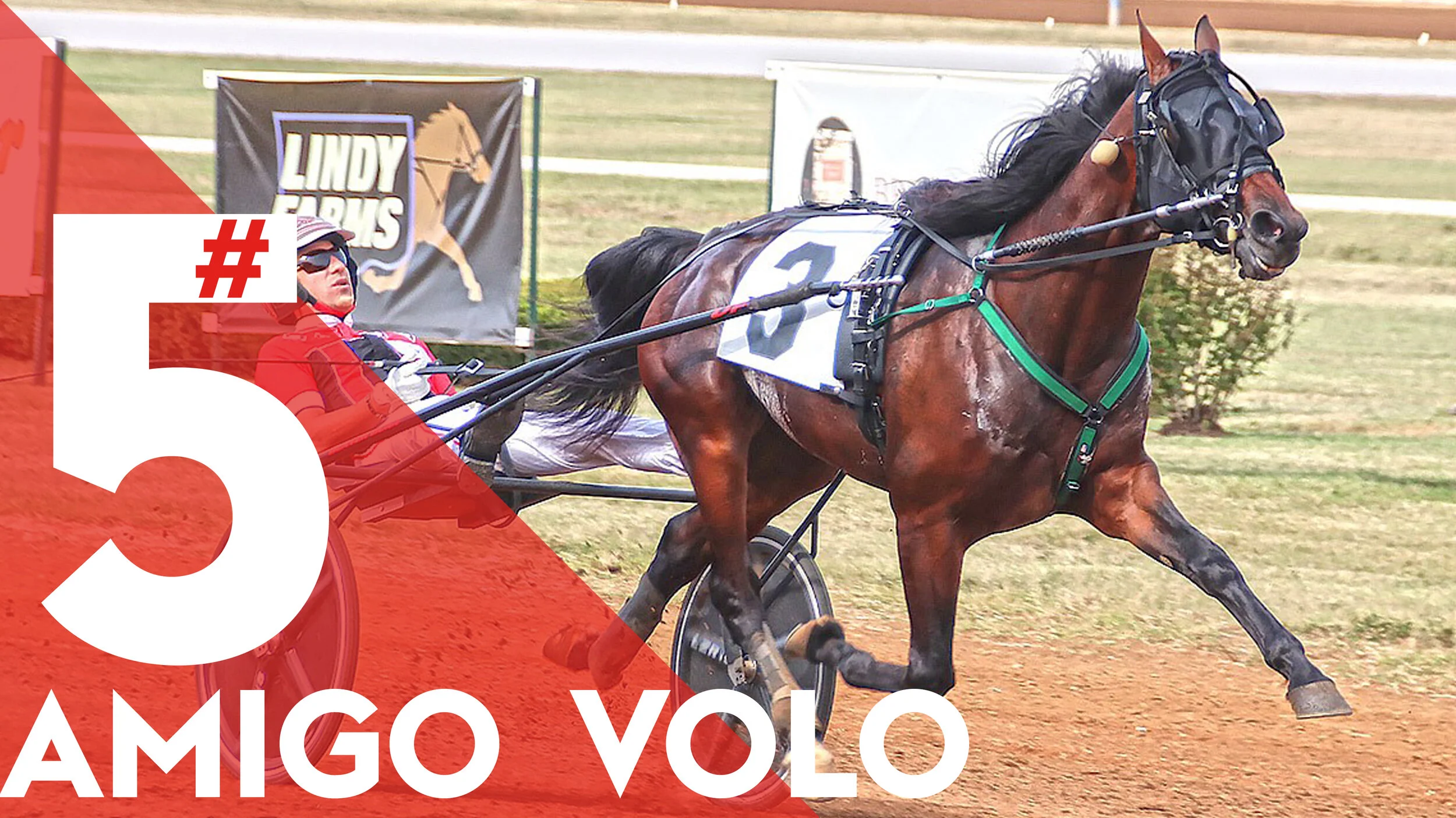  $105,500 Bluegrass  $92,100 International Stallion 