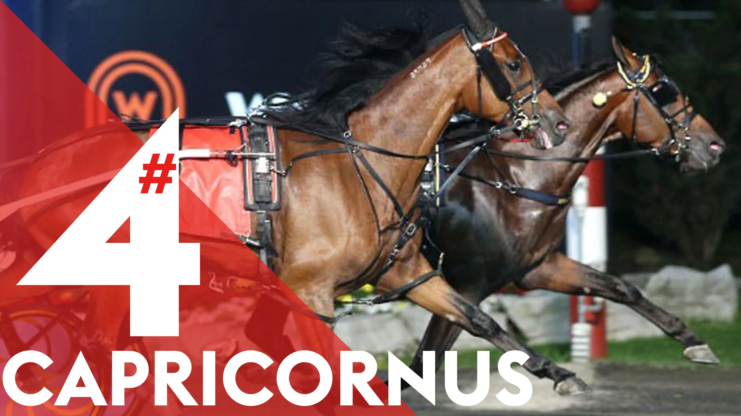 2c 4 capricornus.jpg