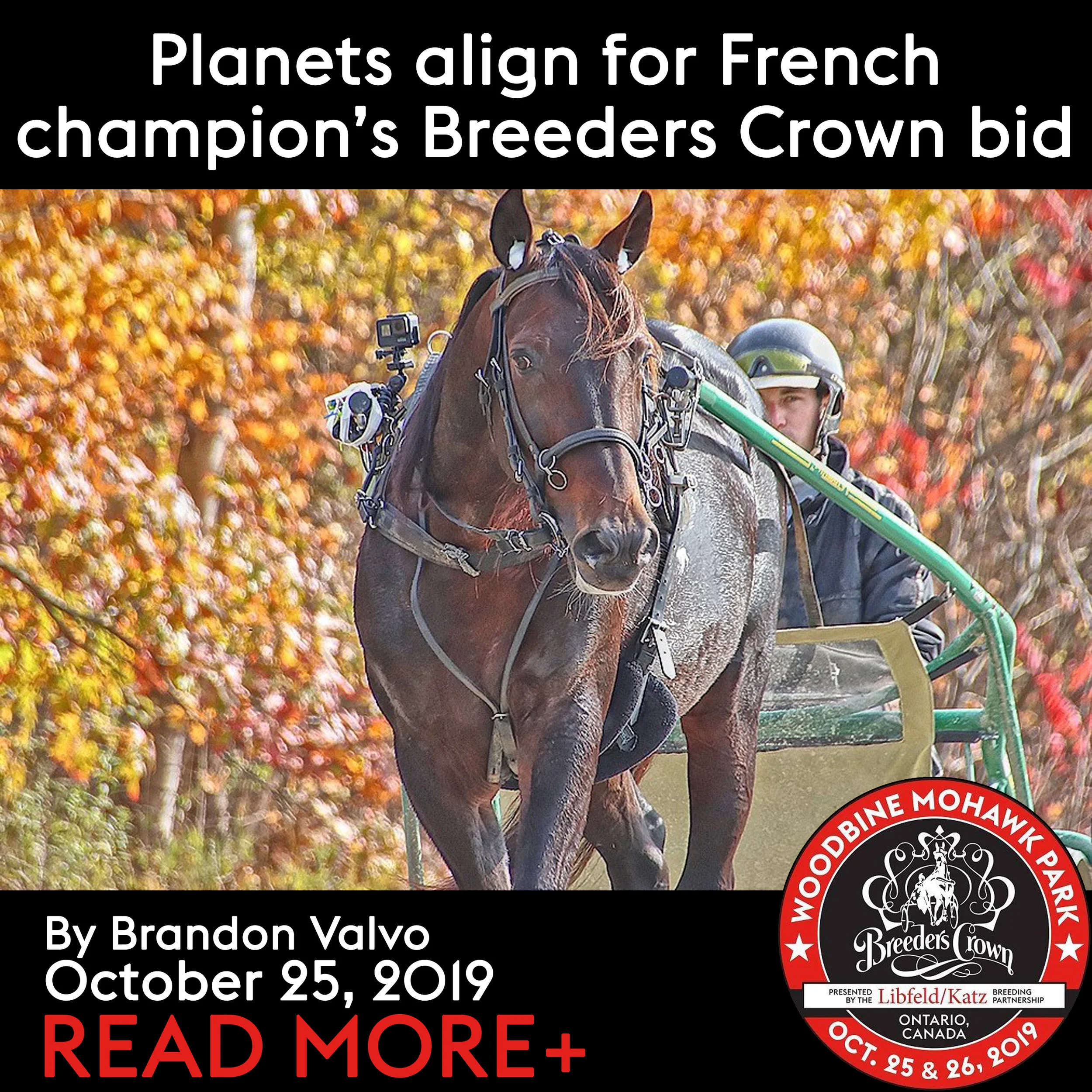 Planets align for French champion’s Breeders Crown bid