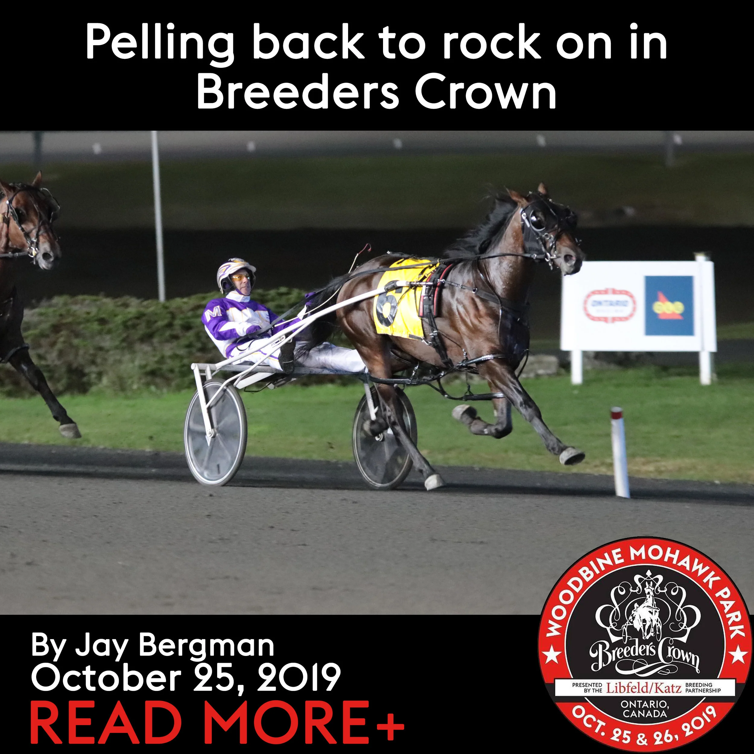 Pelling back to rock on in Breeders Crown